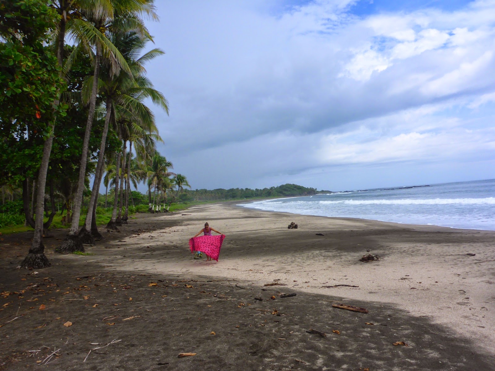 Une plage déserte bordée de palmiers