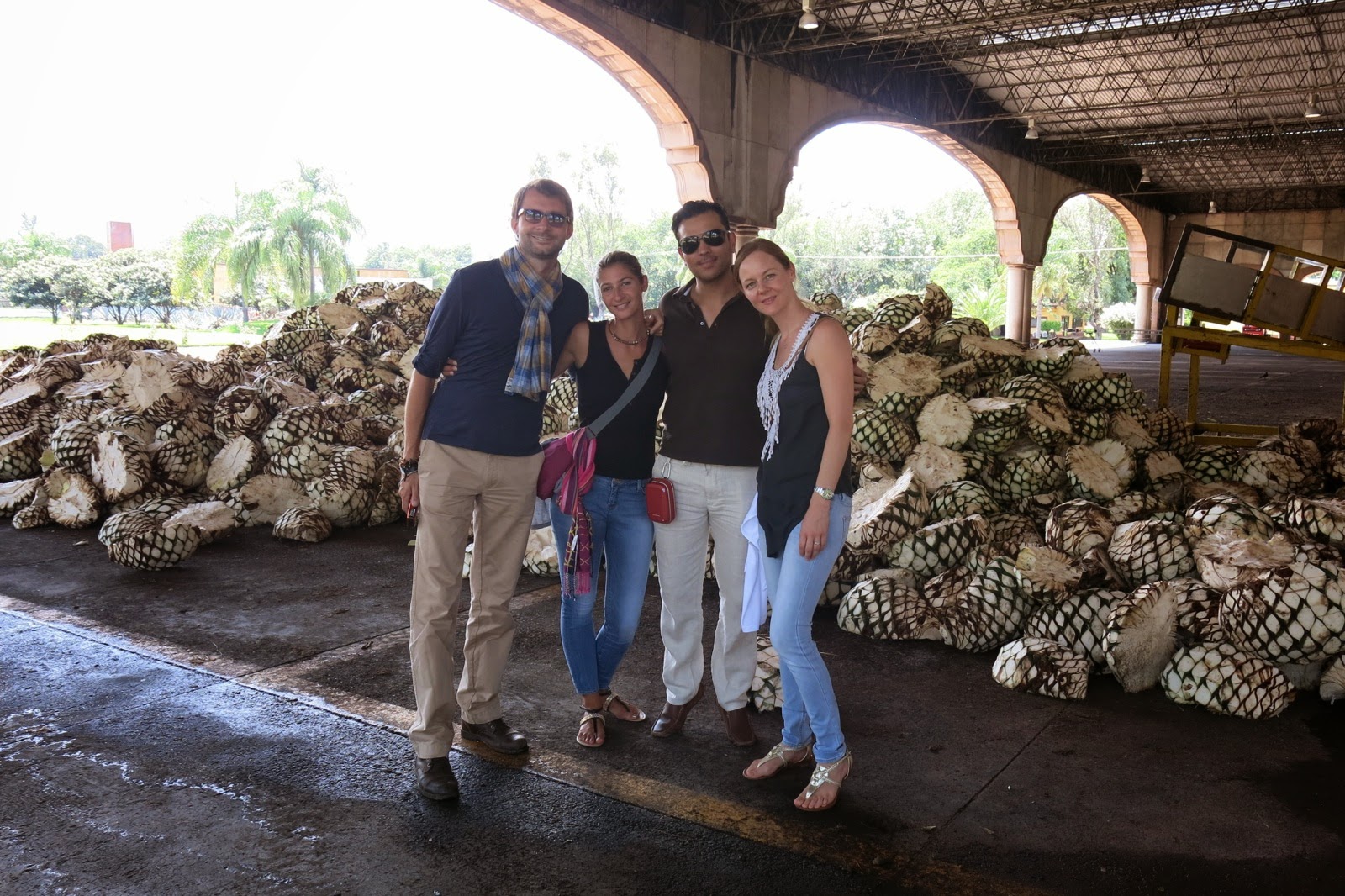 Devant le tas de cœurs d’agave de la distillerie