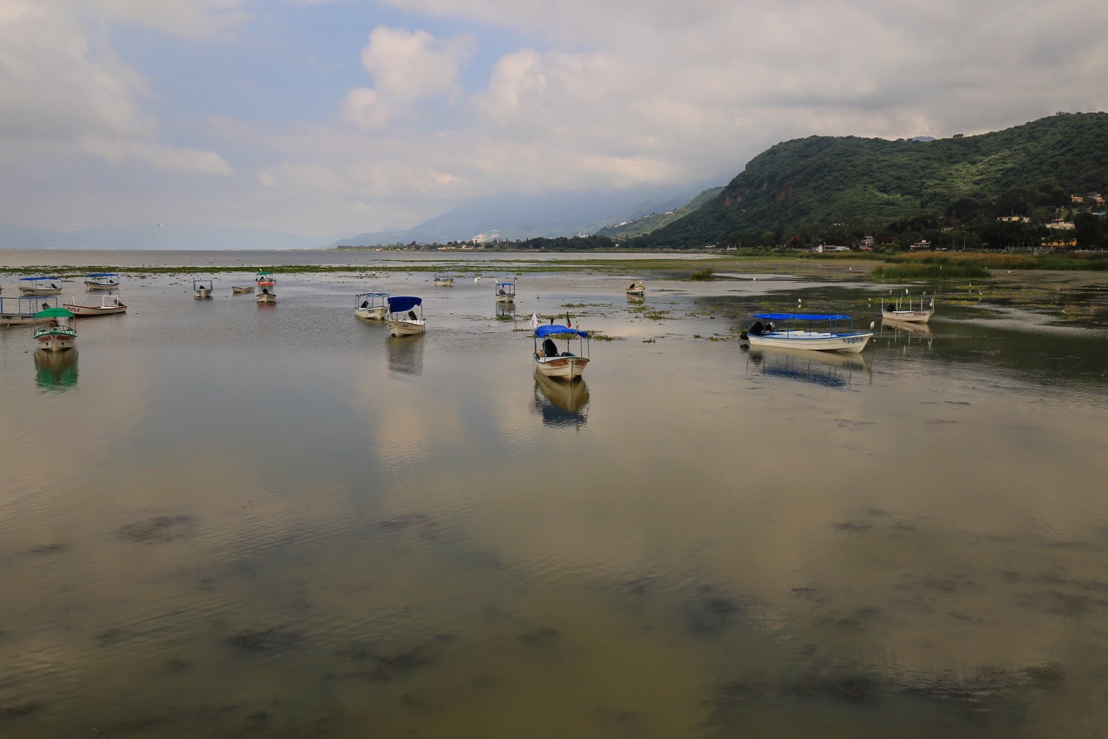 Barques de pêcheurs sur la Laguna de Chapala