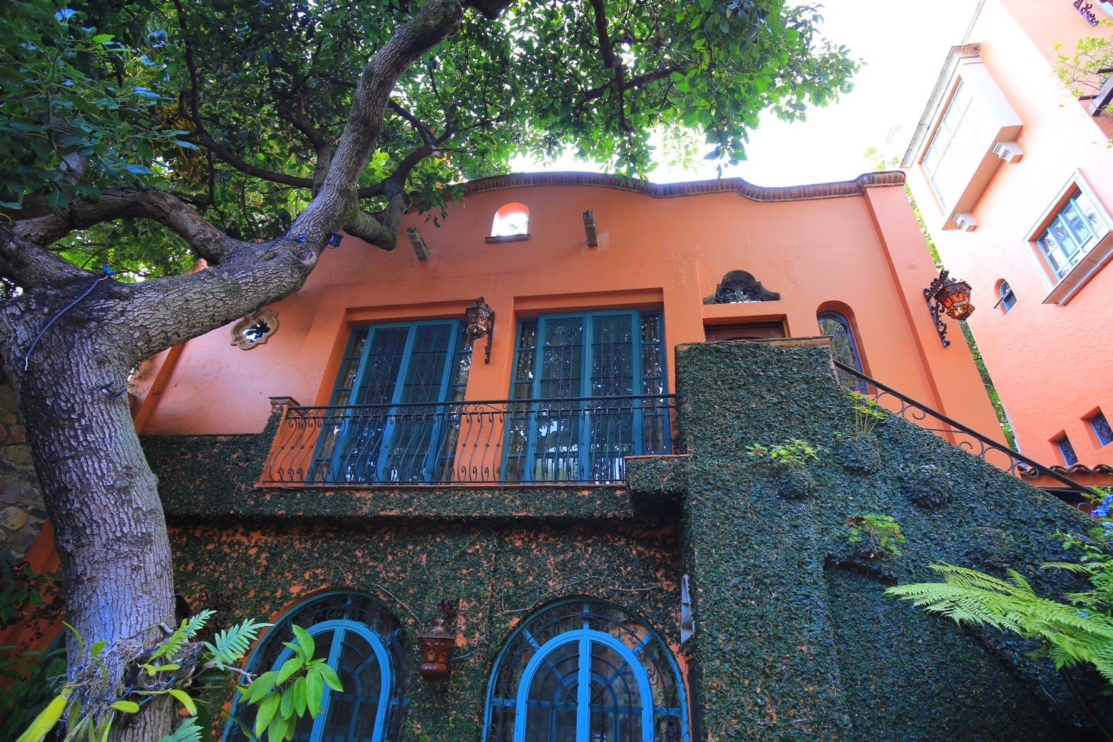 Façade orange et arbre de l’hacienda