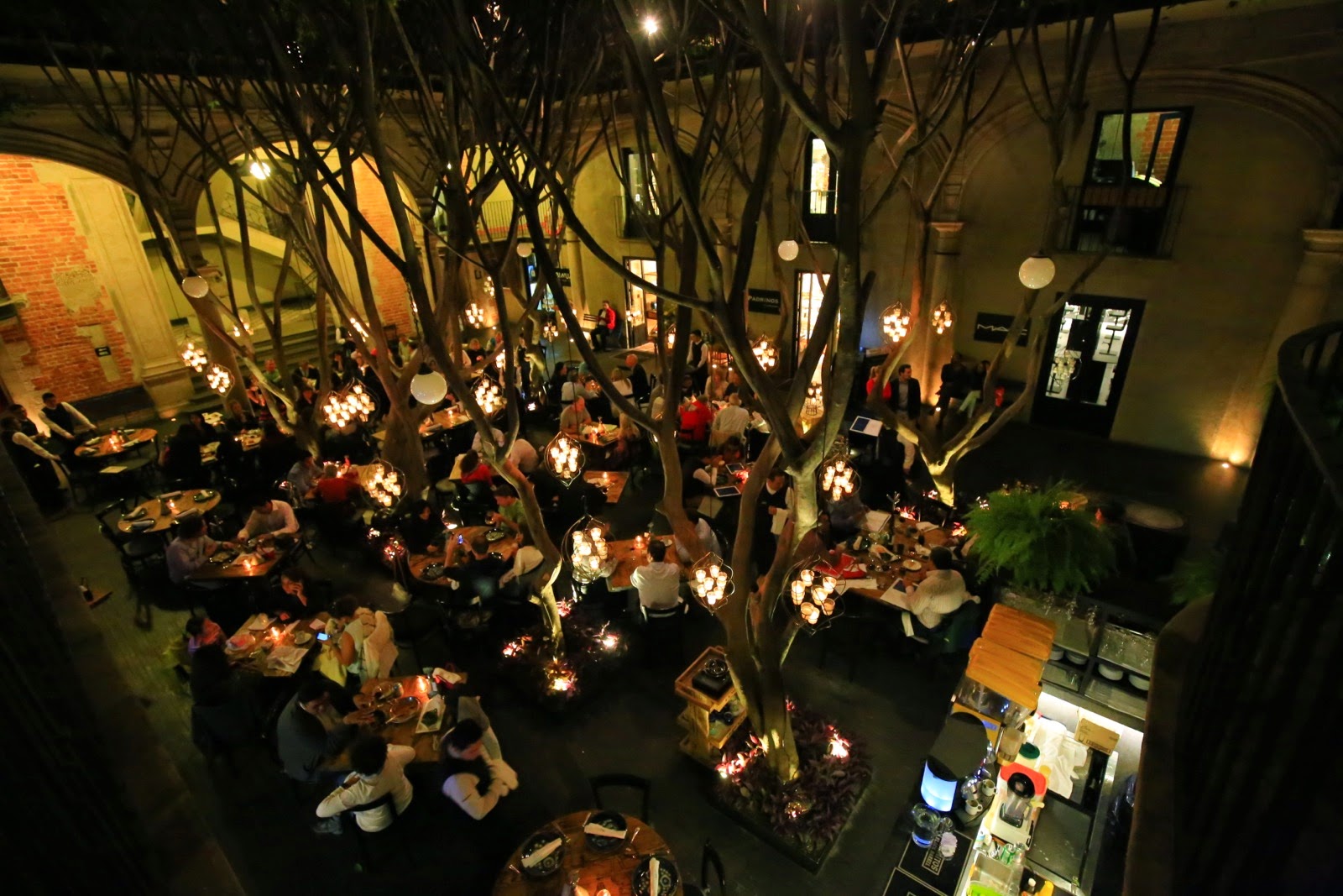Restaurant sous les arbres du patio, le soir