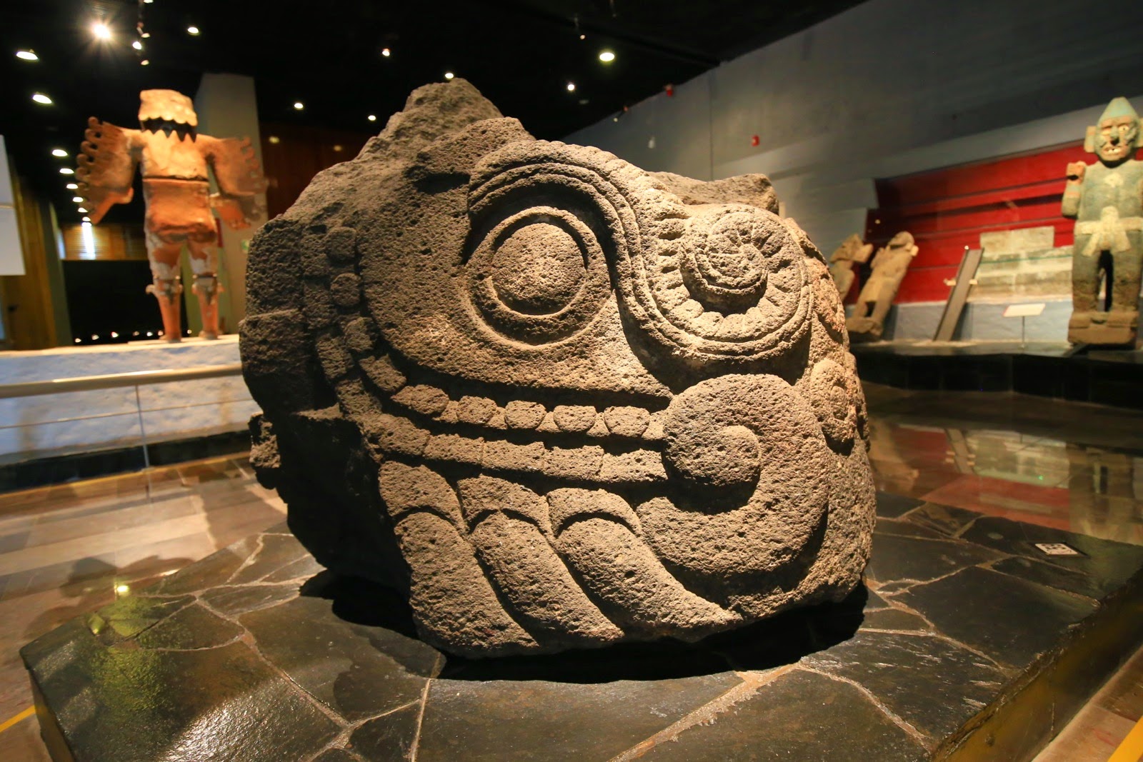Tête de serpent sculptée au musée