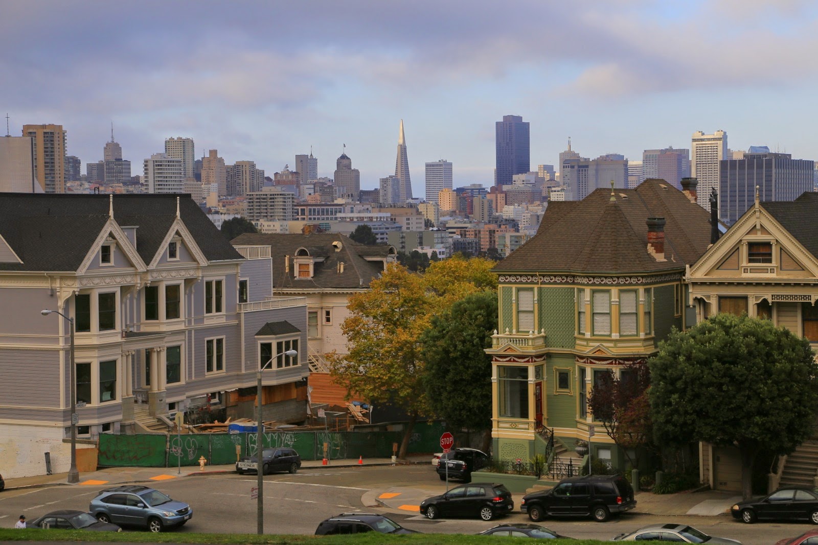 Maisons victoriennes devant le skyline de Downtown