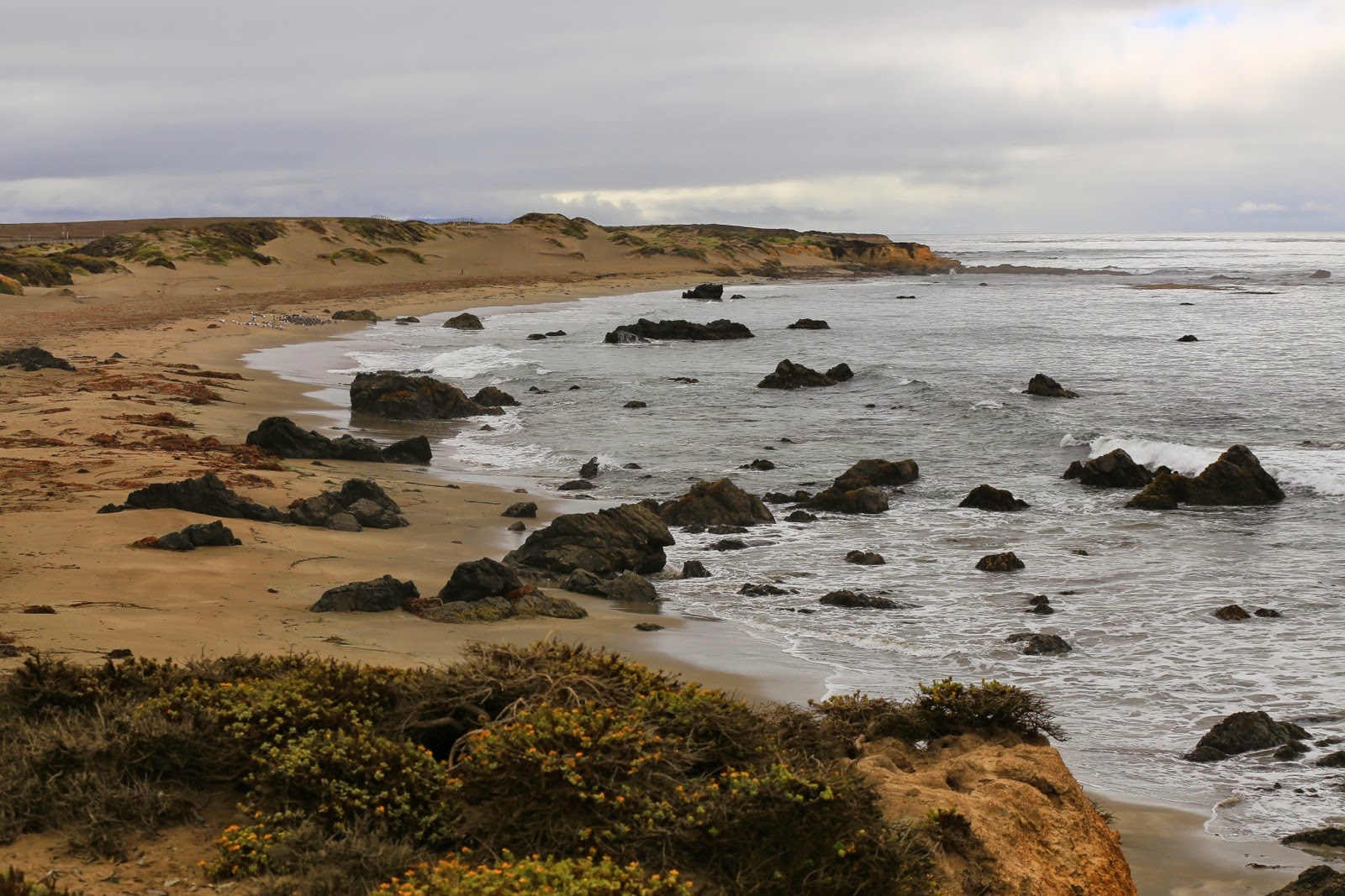 Côte rocheuse sauvage le long de la Pacific Coast Highway