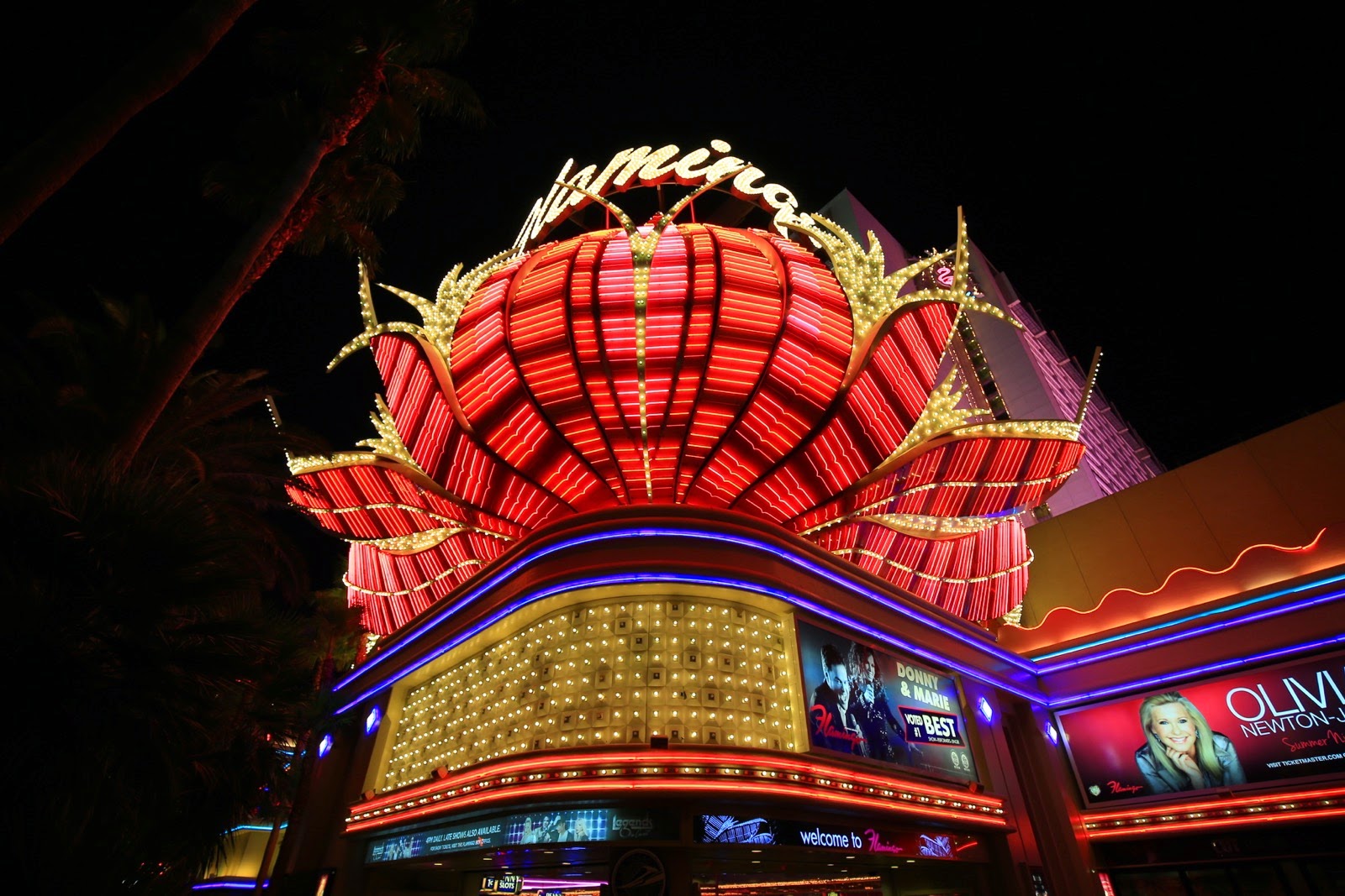 L’enseigne du Flamingo