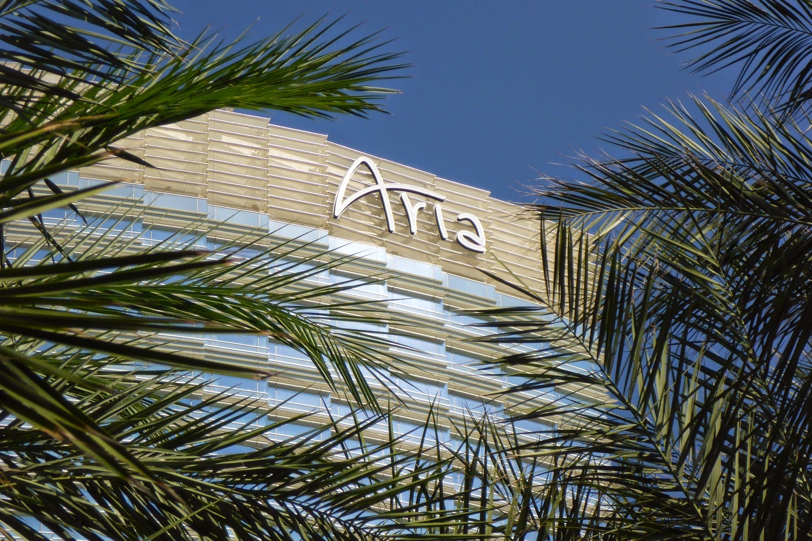 Le logo de l’Aria entre les palmiers