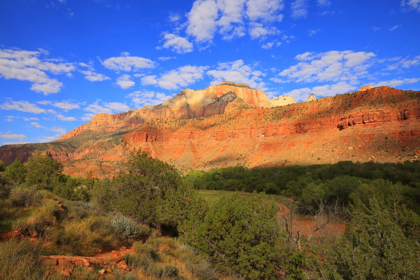 Les falaises colorées de Zion