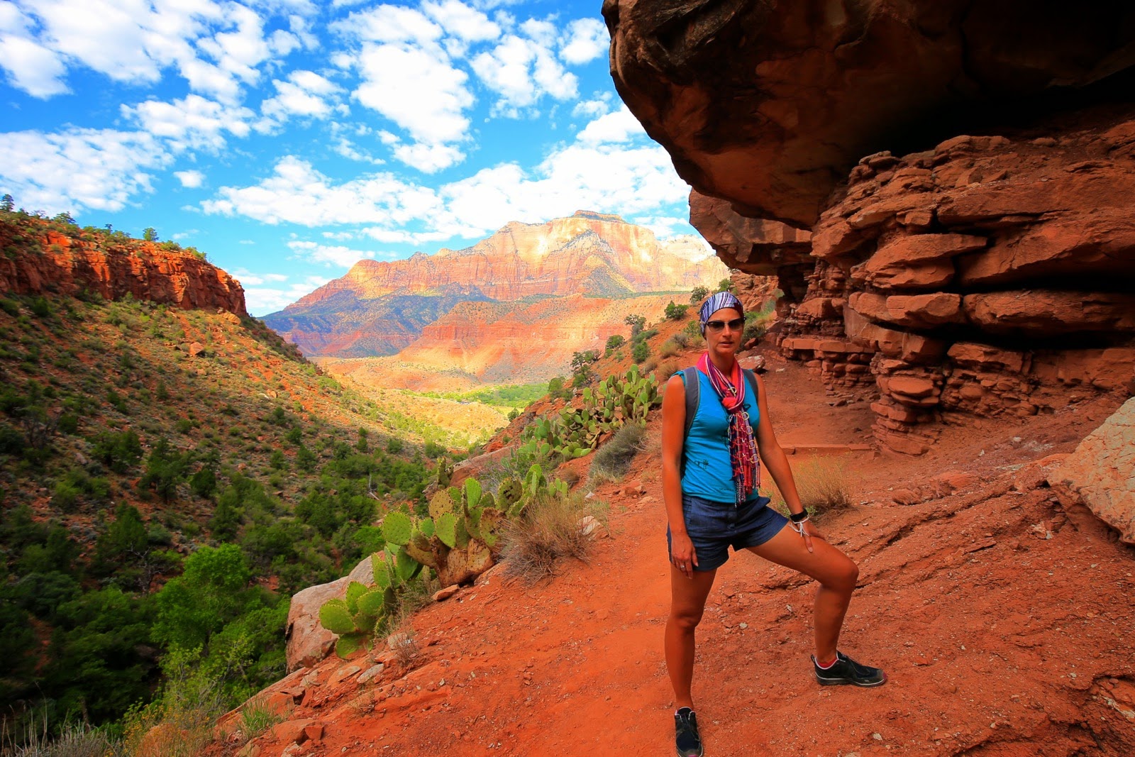 Sur le Watchman Trail
