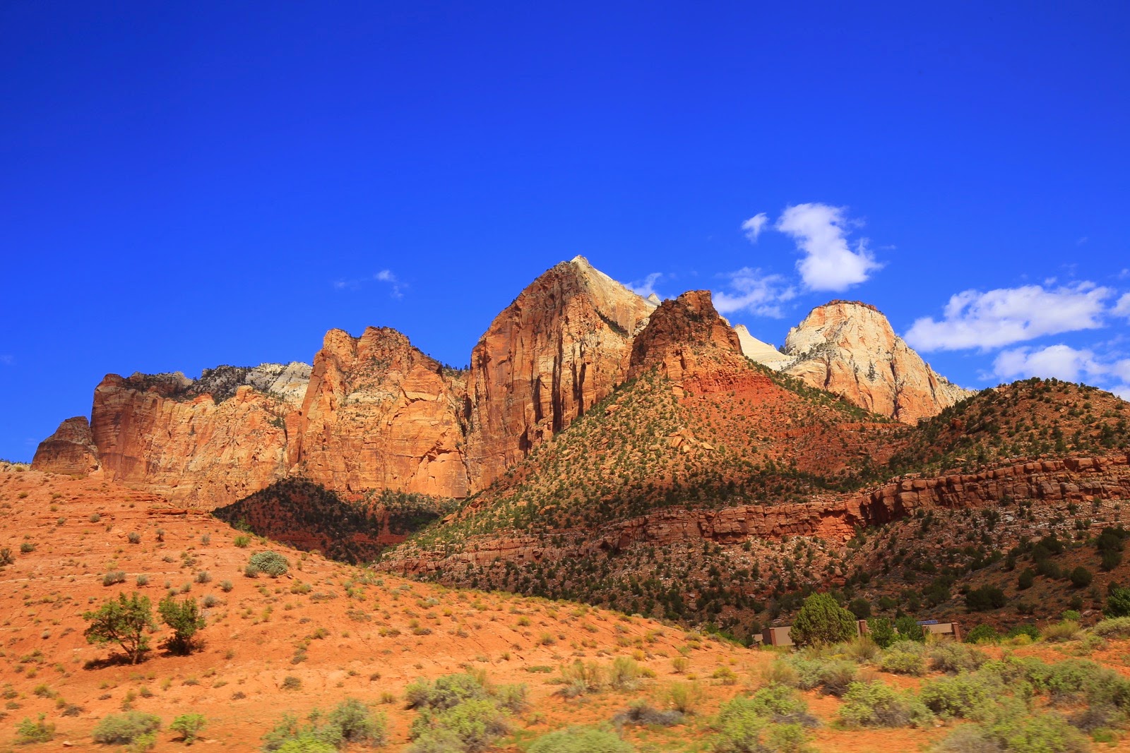 Les sommets de grès de Zion