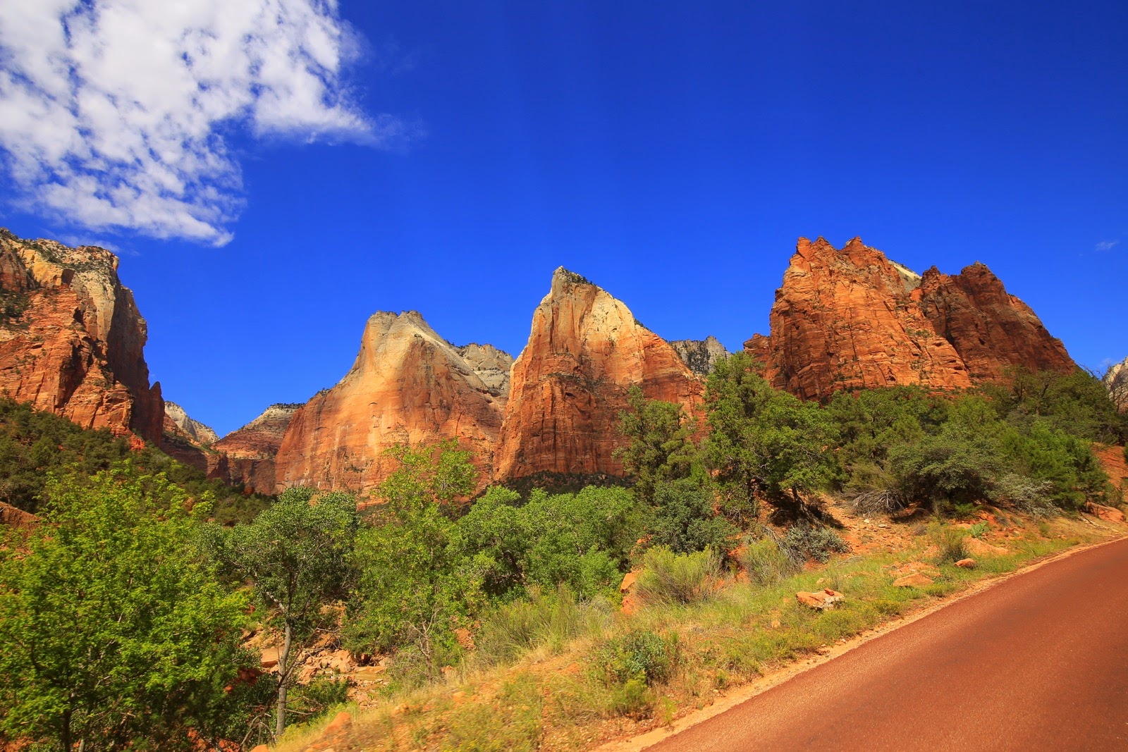 La route du canyon de Zion