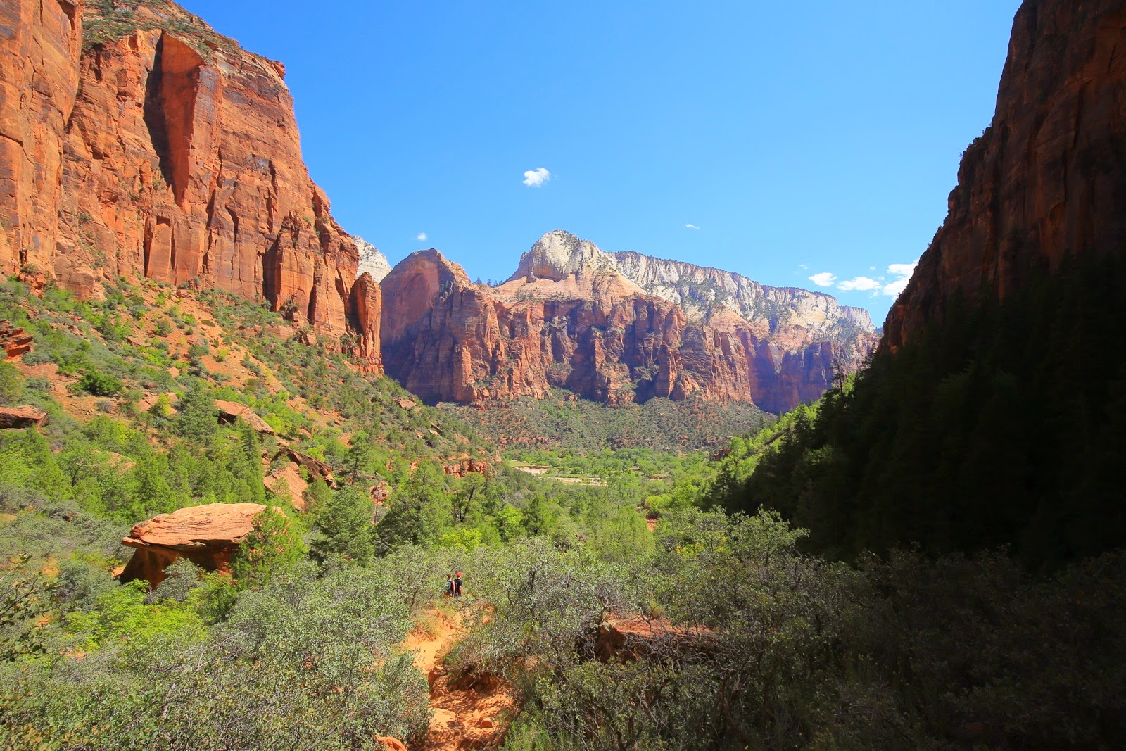 Le canyon de Zion