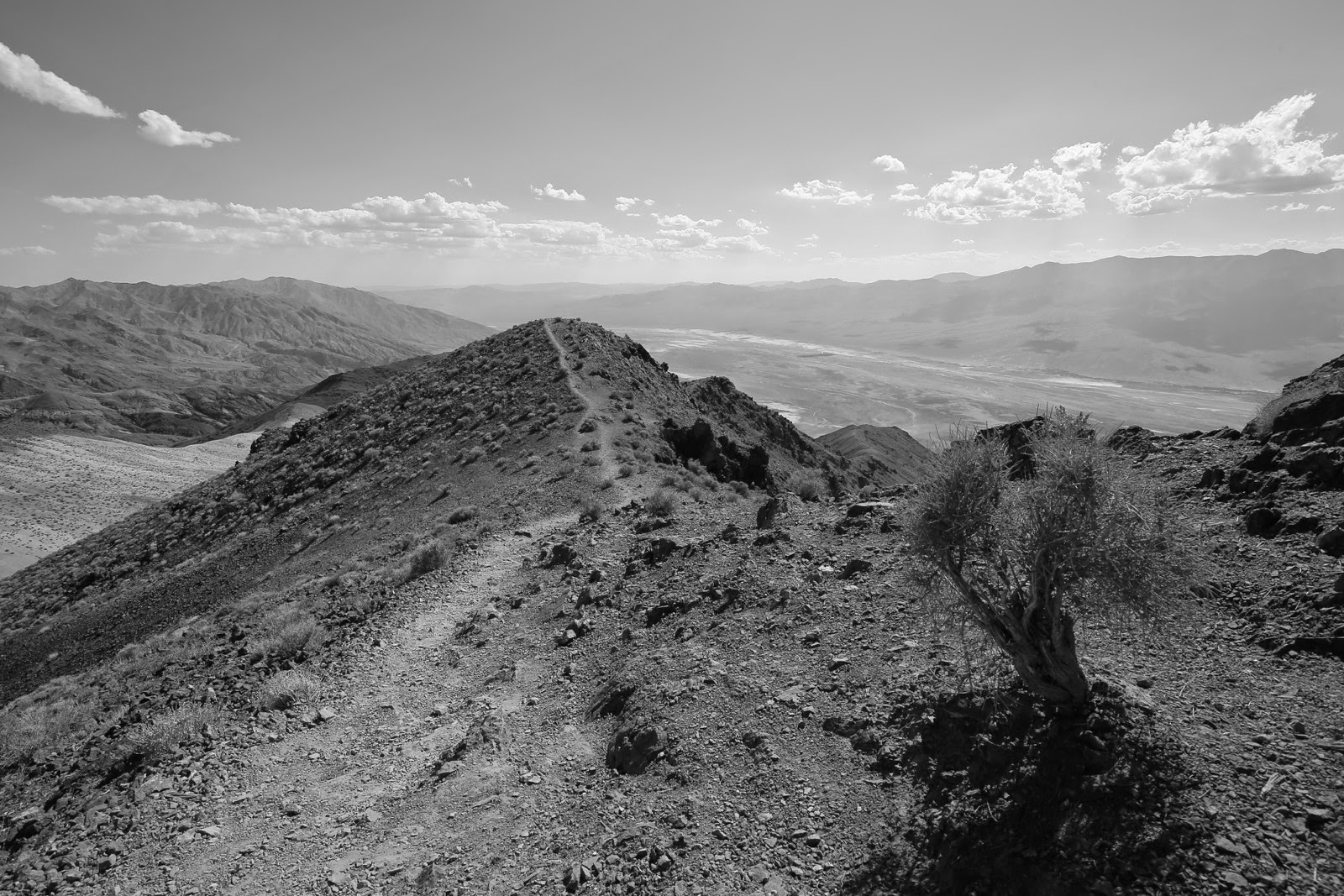 Dante’s View et Badwater en noir et blanc