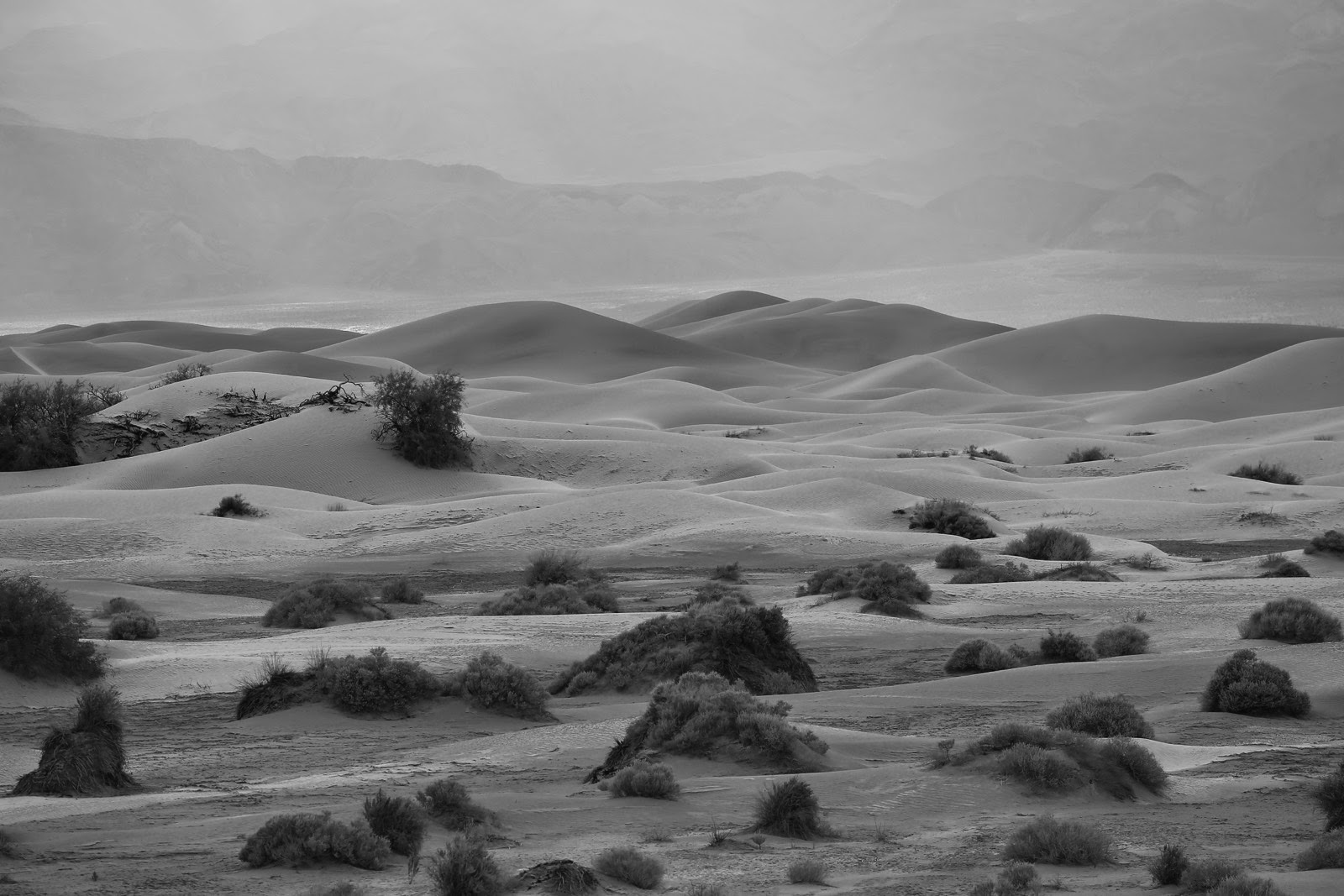Les dunes de Mesquite en noir et blanc