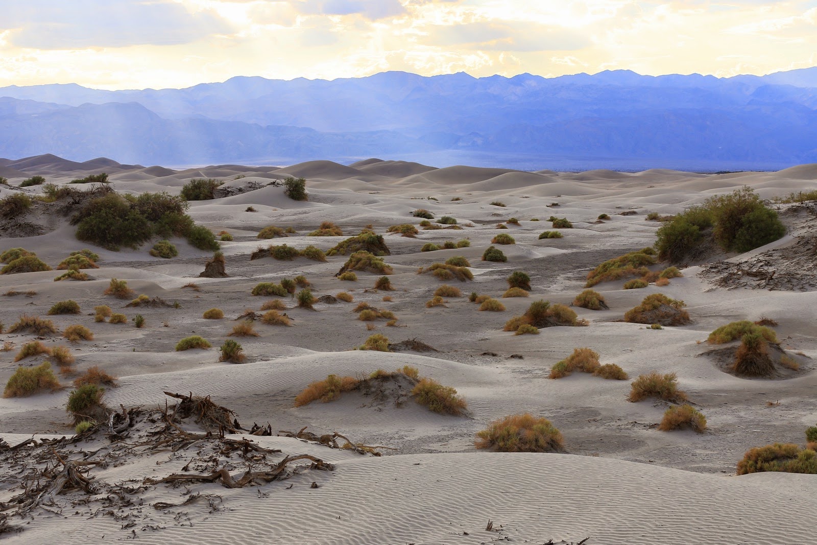 Les dunes de Mesquite