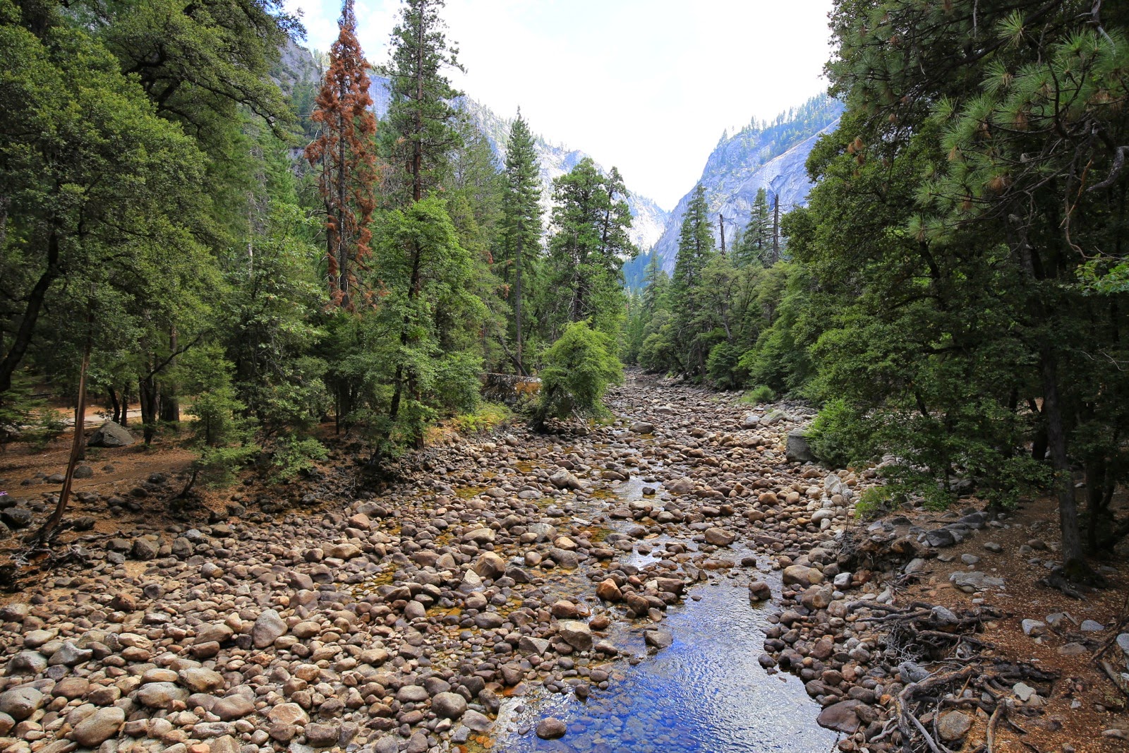 Le lit asséché de la Yosemite Creek