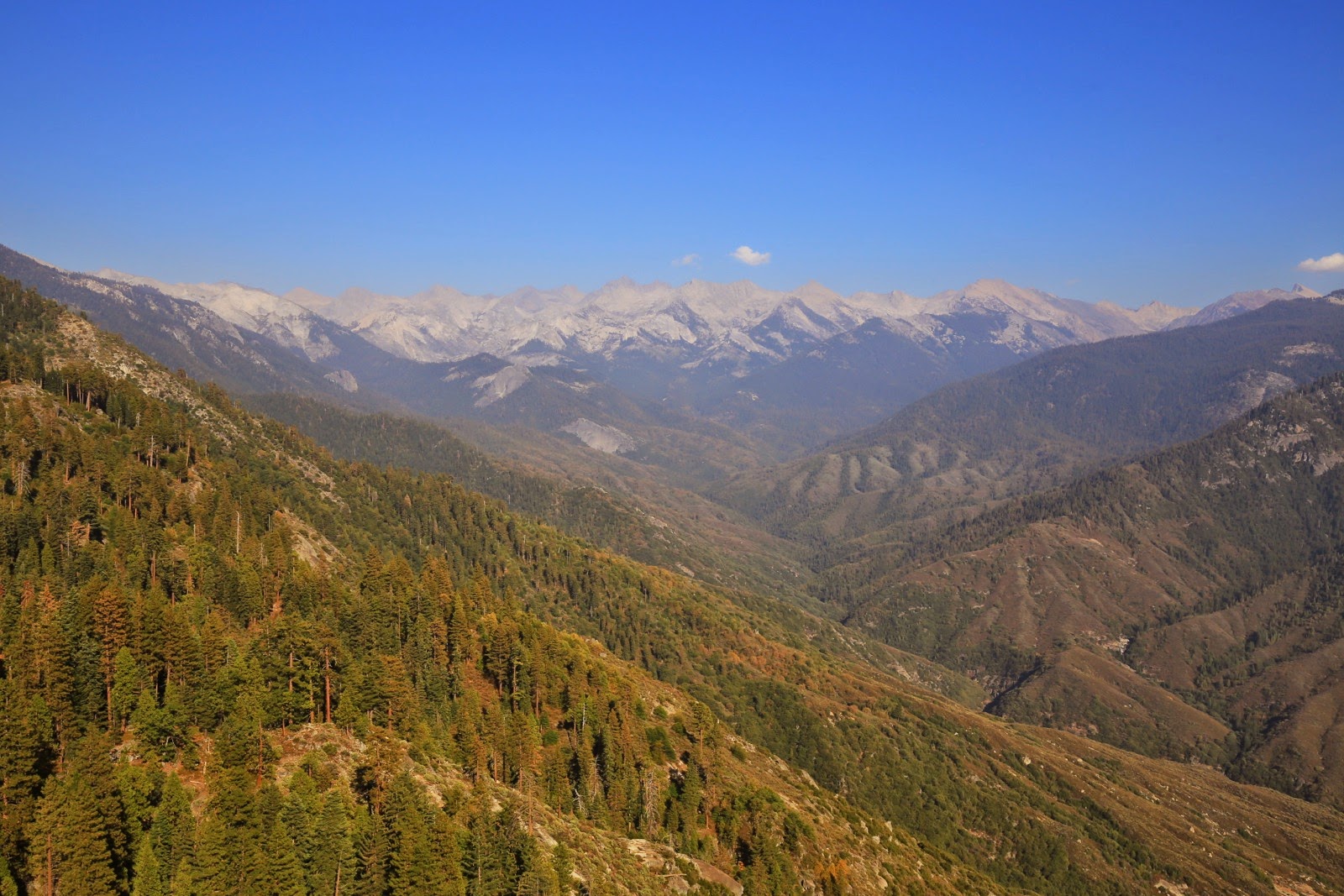 Panorama sur la Sierra Nevada depuis Moro Rock