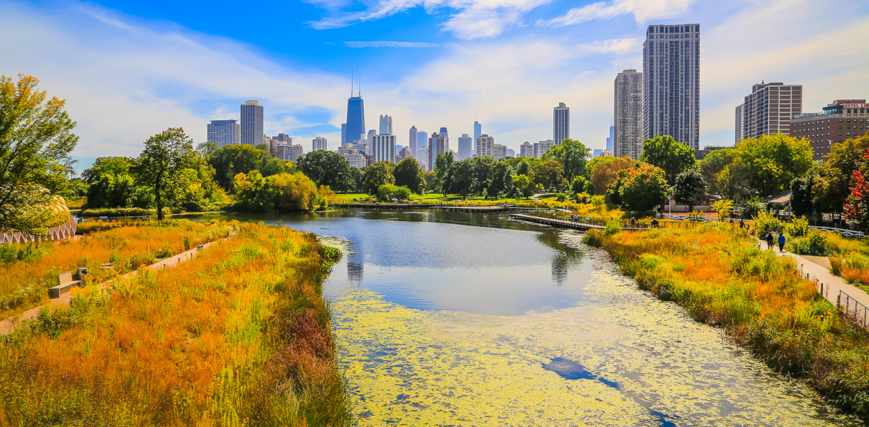 Le skyline de Chicago vu depuis Lincoln Park