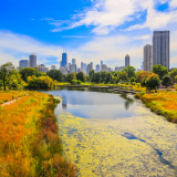 Le skyline de Chicago vu depuis Lincoln Park