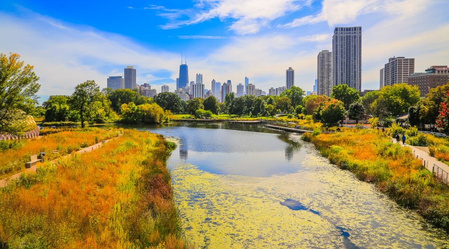 Le skyline de Chicago vu depuis Lincoln Park