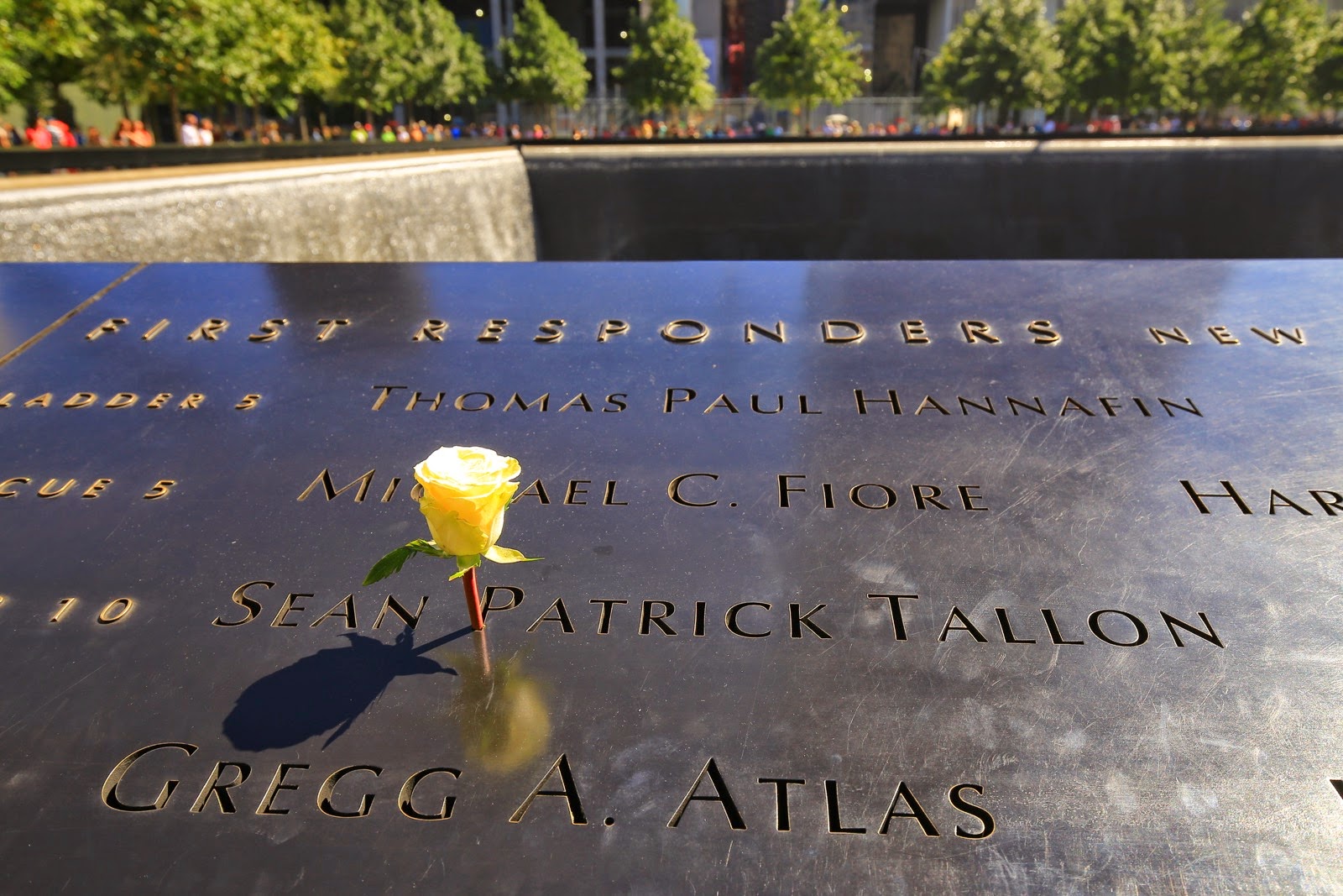 Une rose sur les noms gravés du 9/11 Memorial