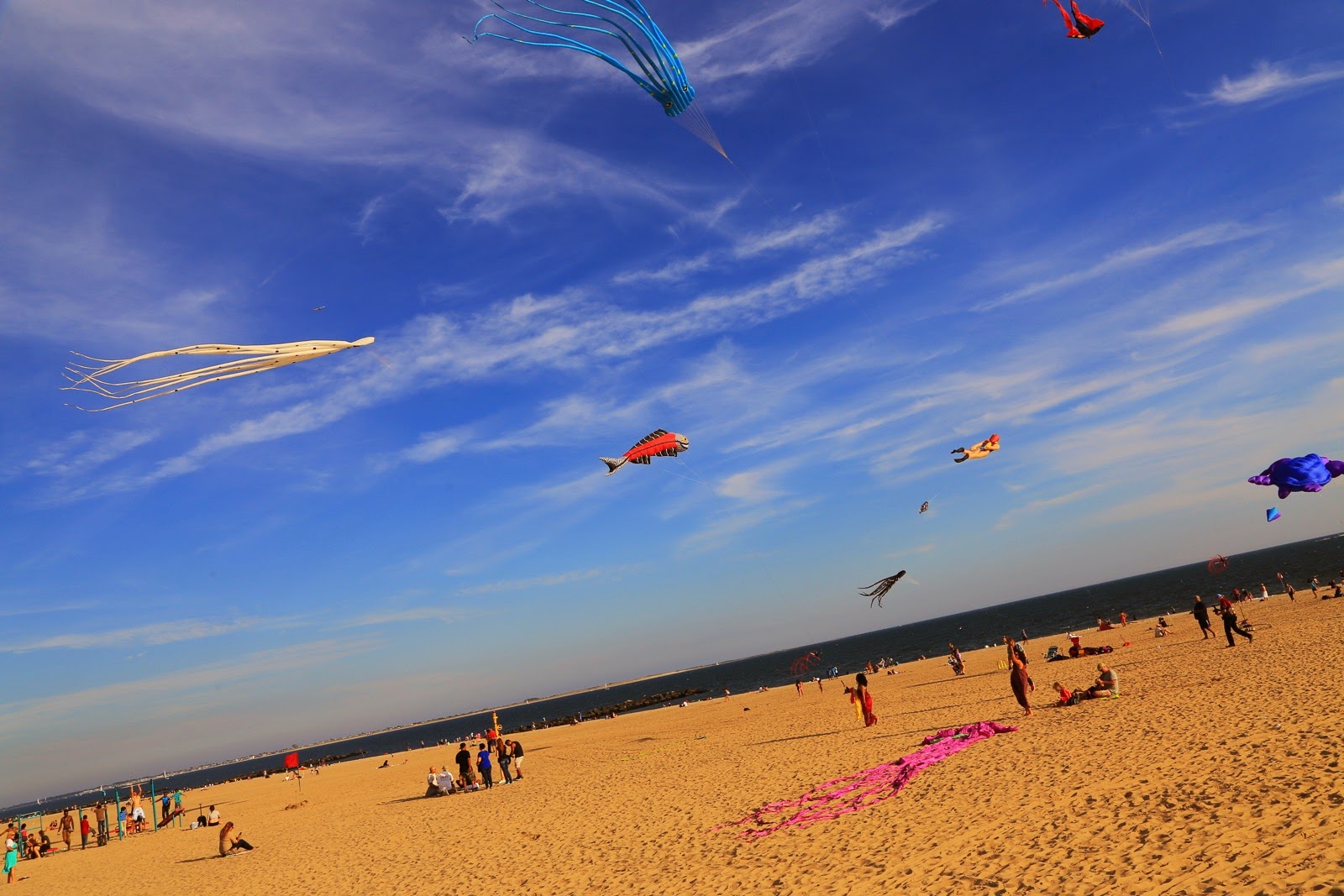 Cerfs-volants sur la plage de Brighton Beach