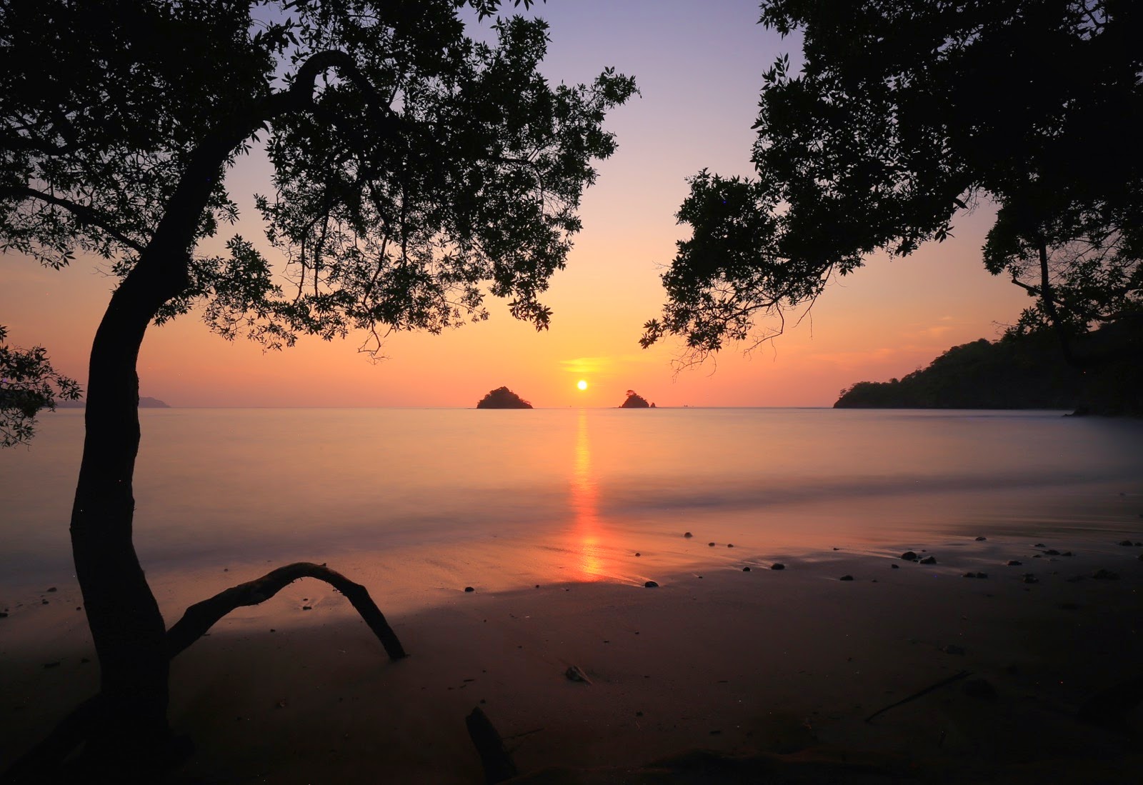 Coucher de soleil sur le Pacifique, encadré par les arbres