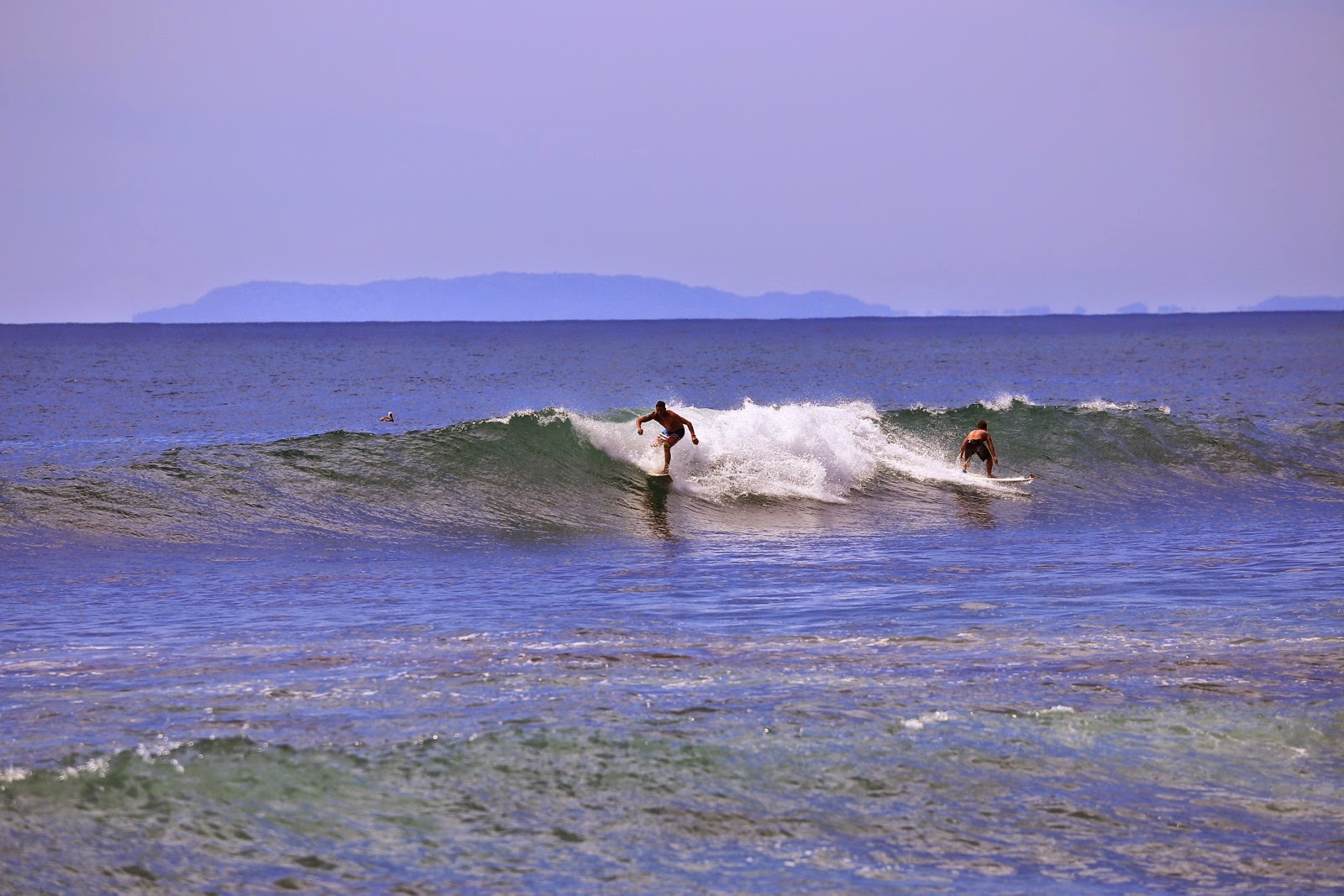 Un surfeur sur une vague de la côte Pacifique