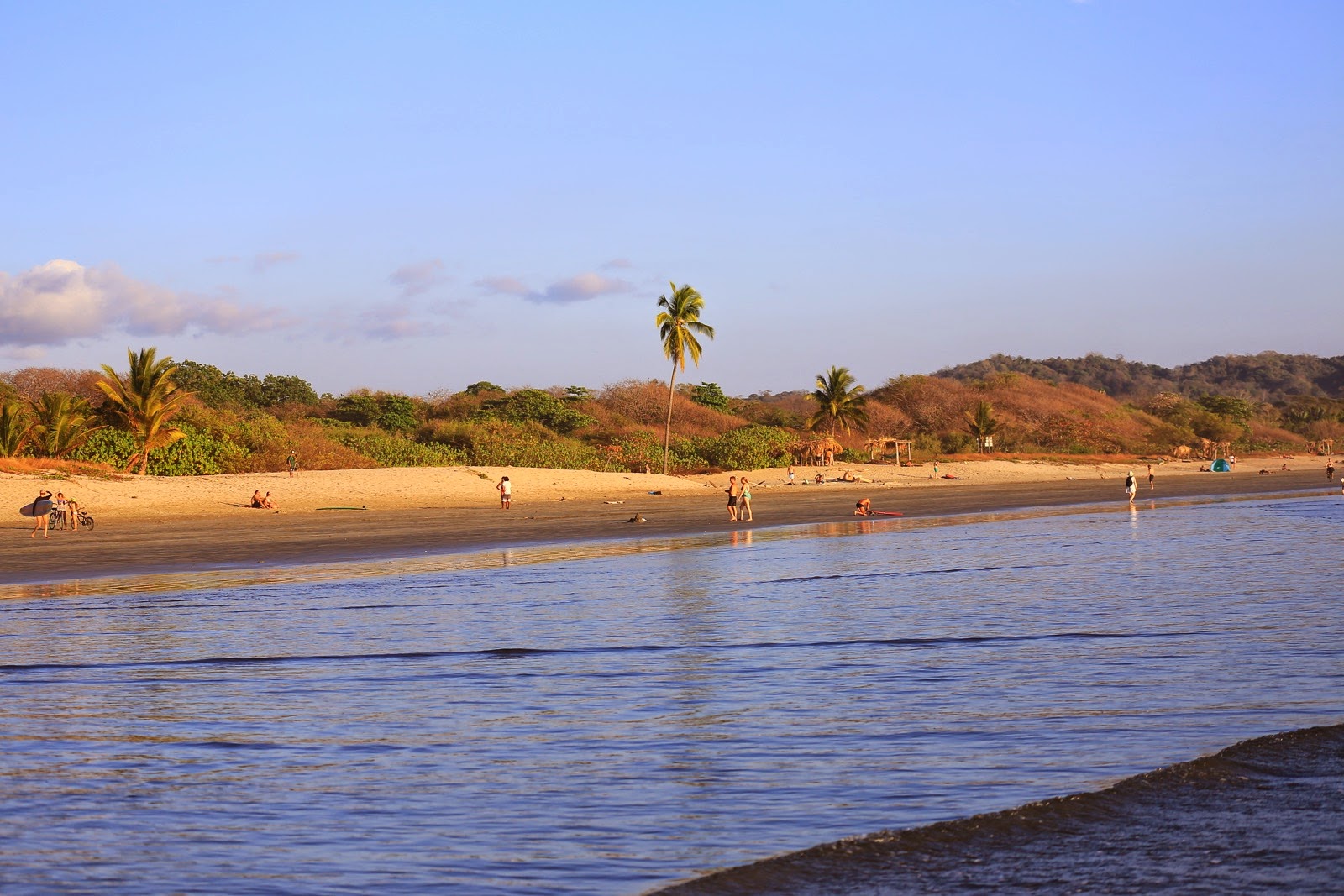 Une plage bordée de palmiers en fin de journée