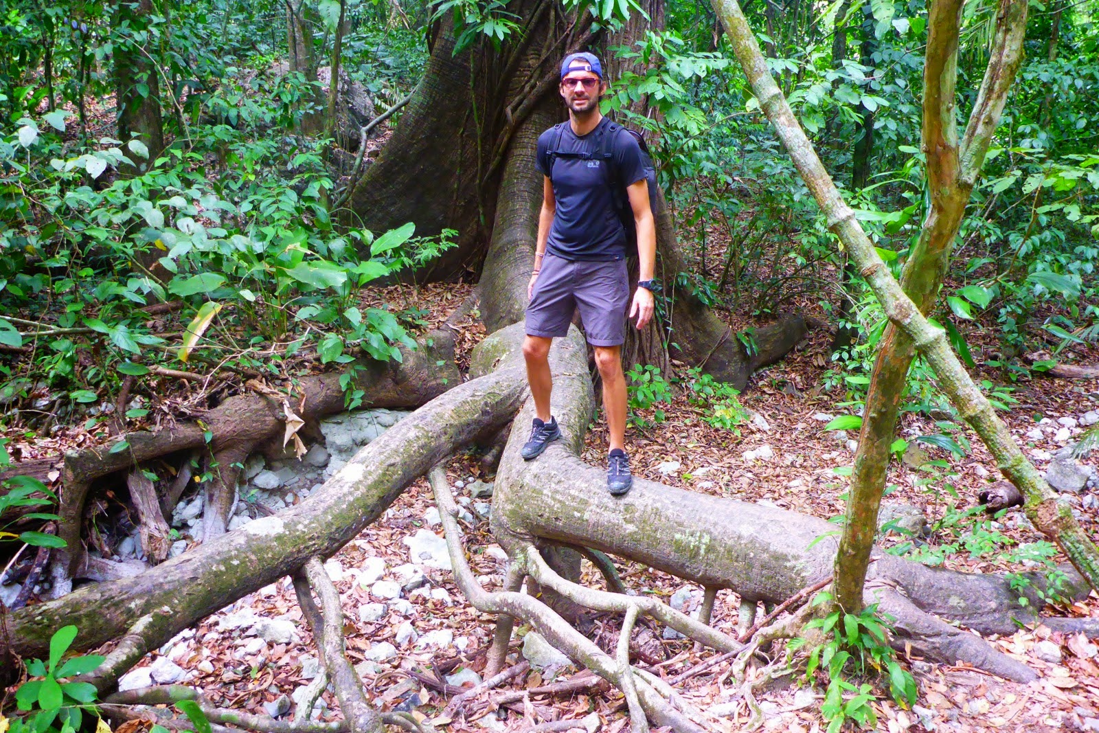 Pause sur un tronc pendant la marche dans la forêt primaire