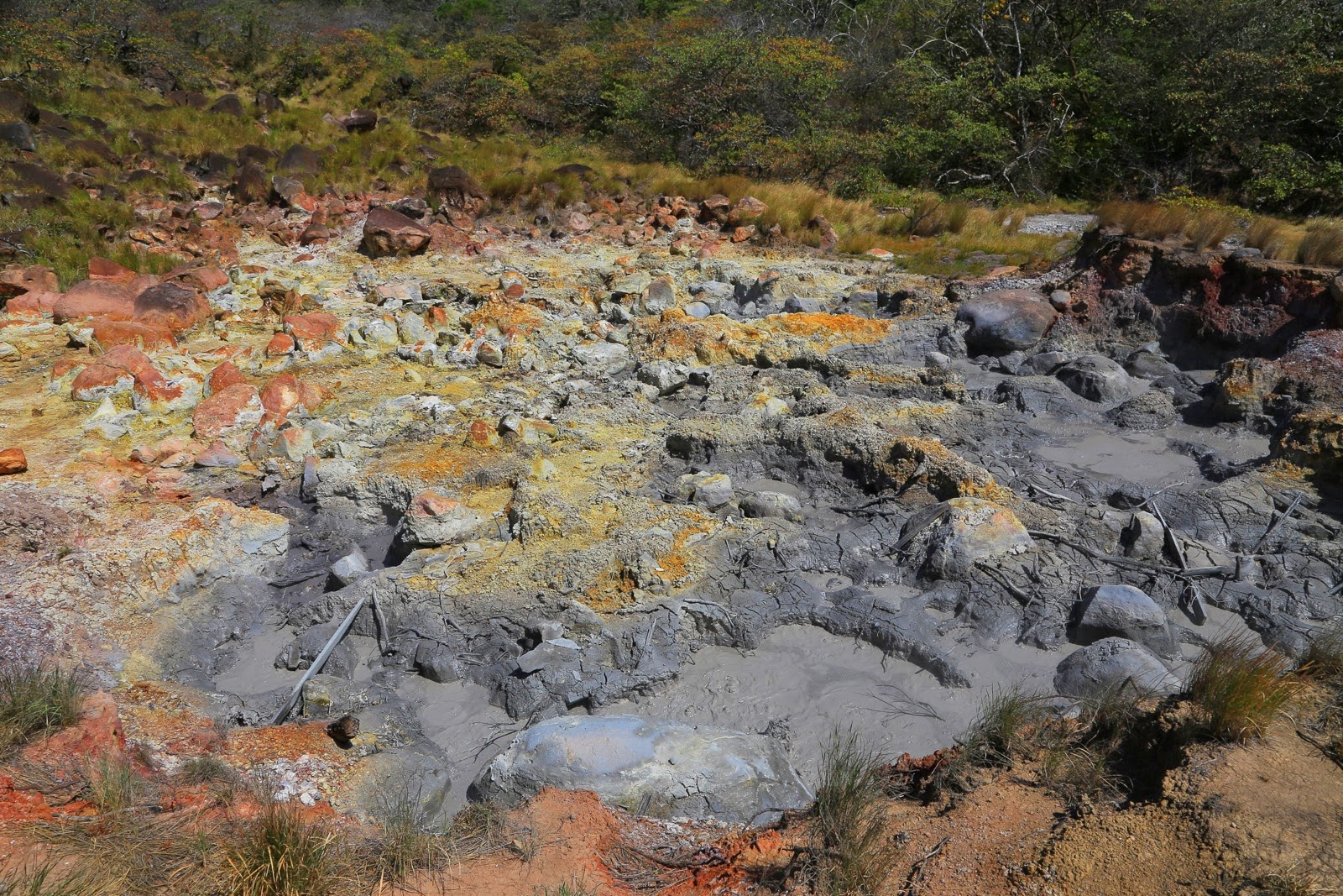 Sol volcanique gris et ocre près des fumerolles