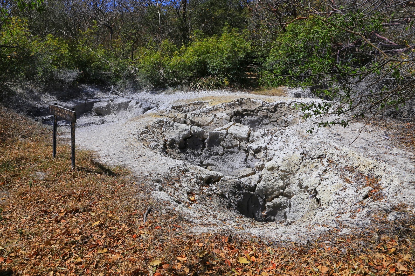 Mare de boue bouillonnante le long du sentier