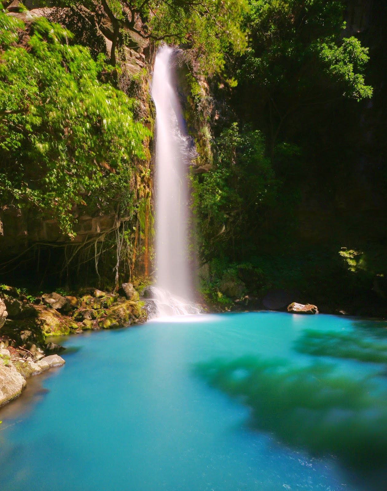 Une cascade de 50 m au cœur de la jungle