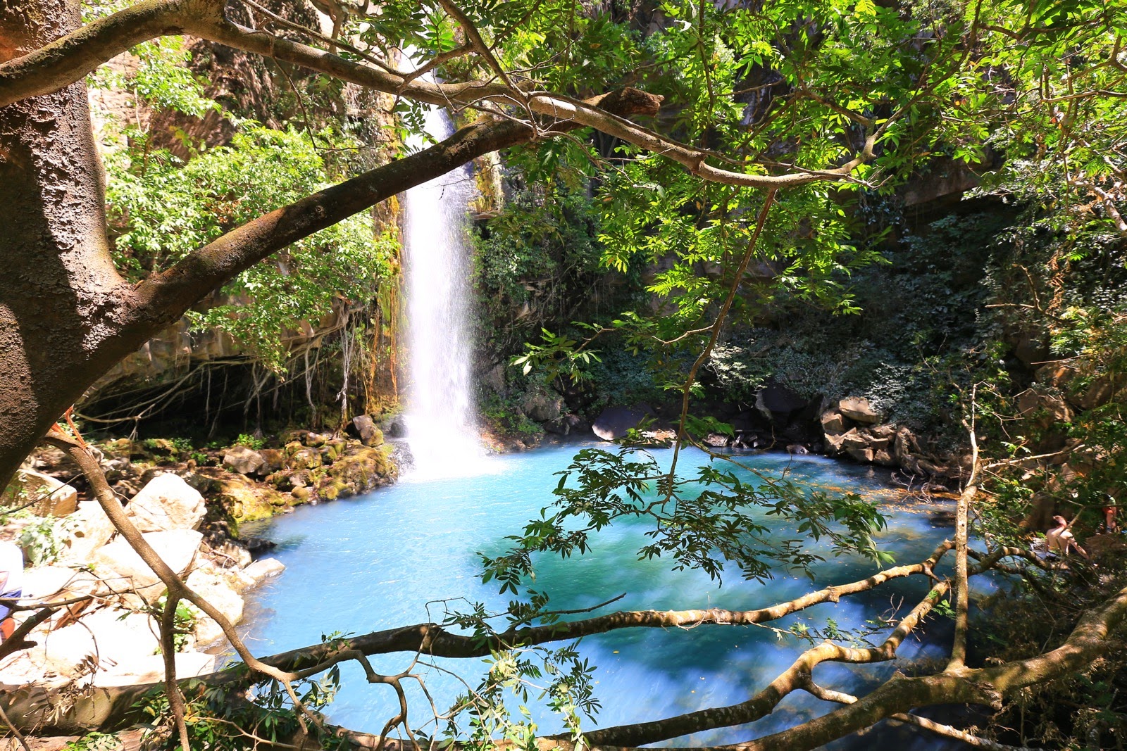 La cascade aperçue à travers la végétation