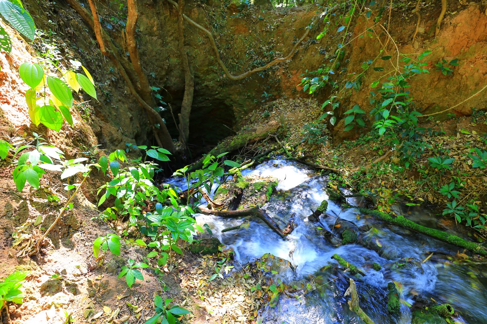 Un ruisseau sous un surplomb rocheux
