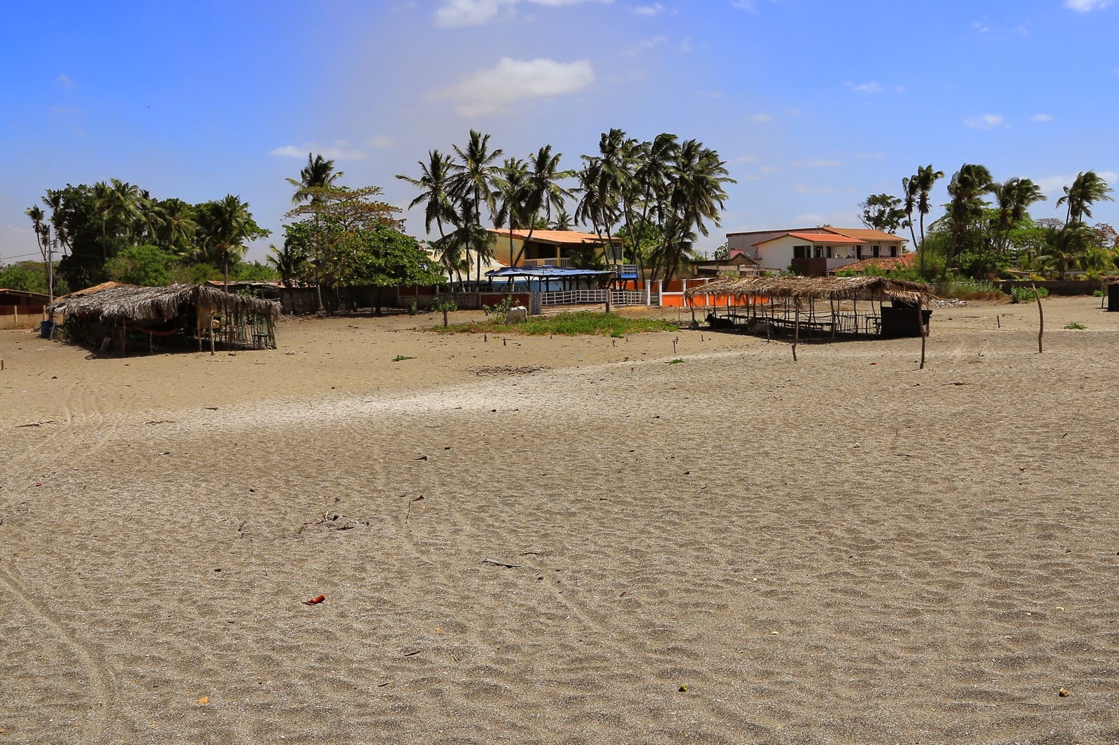 Plage déserte et palmiers