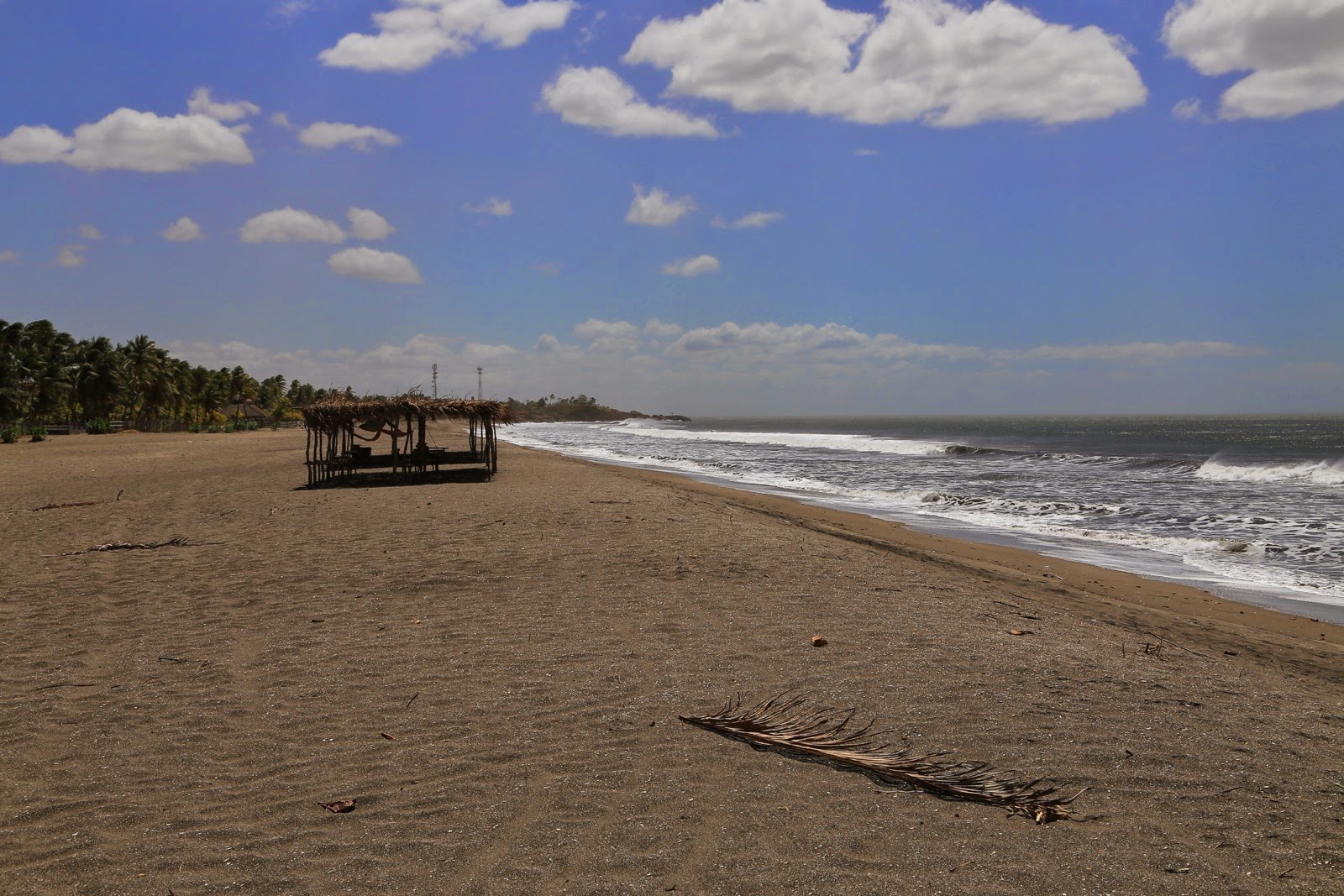 Vagues sur la longue plage du Pacifique