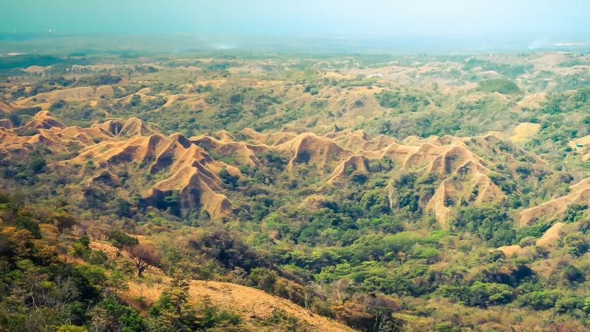 Collines dorées de la province de Coclé au Panama
