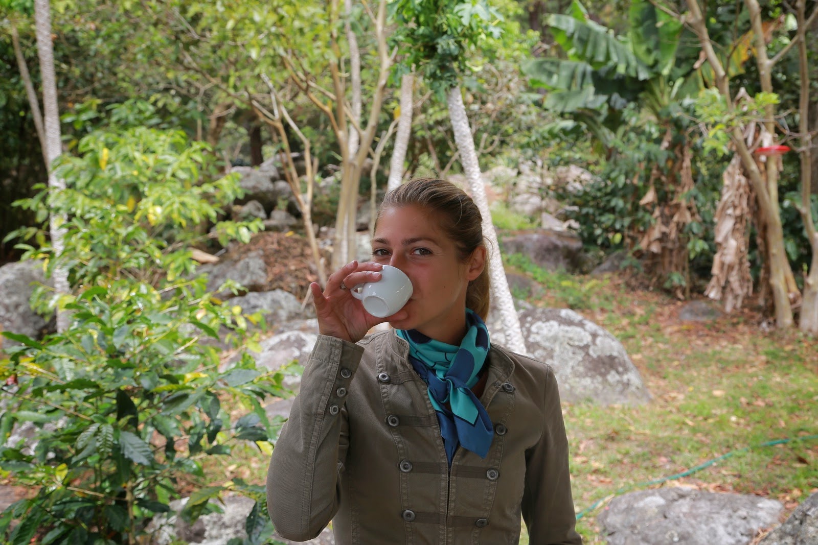 Dégustation de café à la plantation