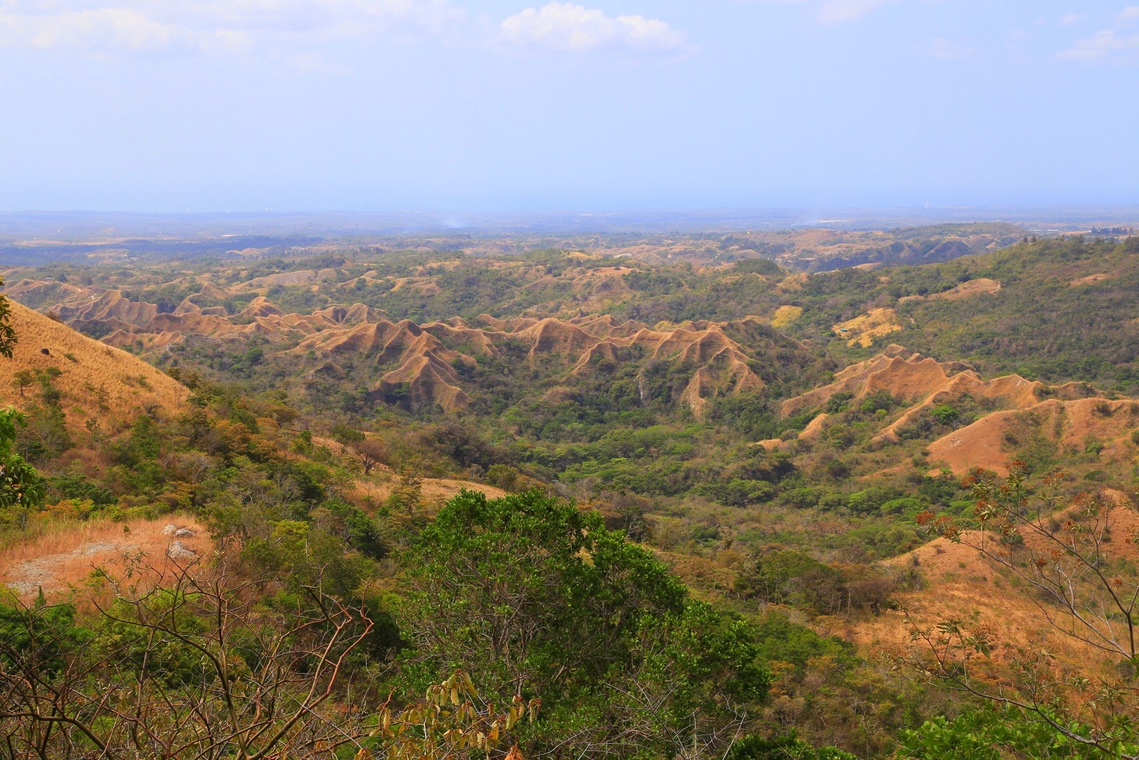 Collines dorées autour de la Laguna de San Carlos