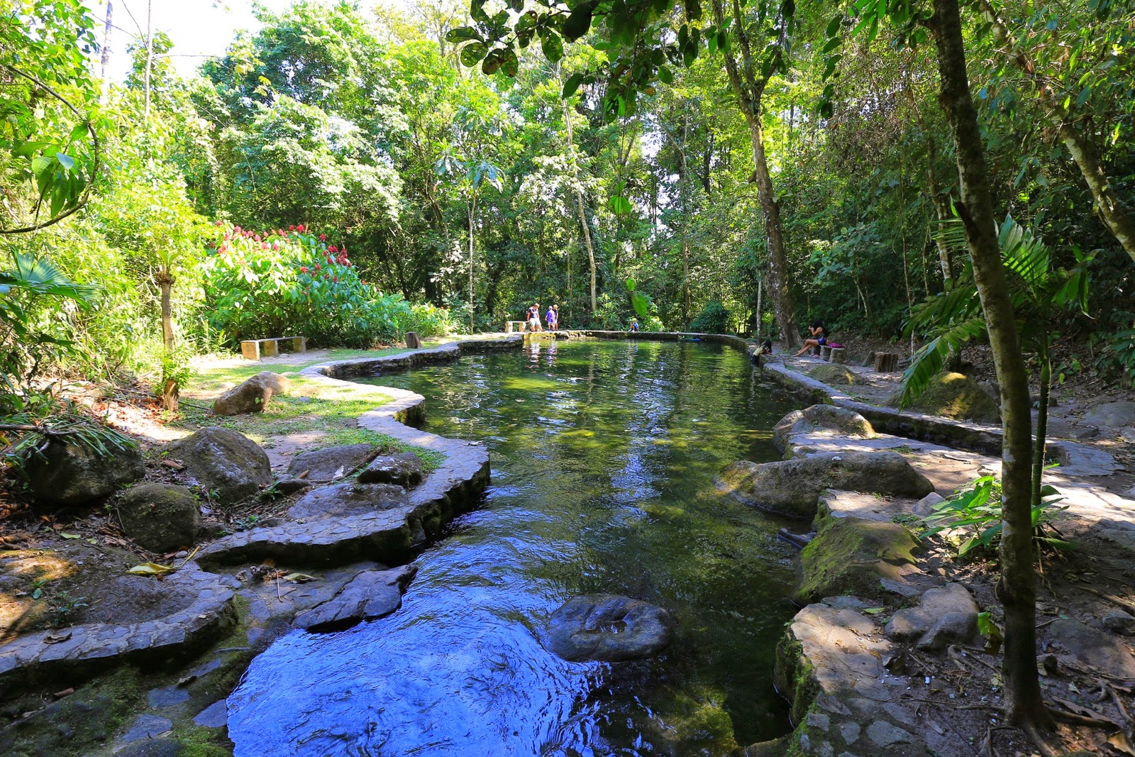 Rivière et rochers dans la jungle