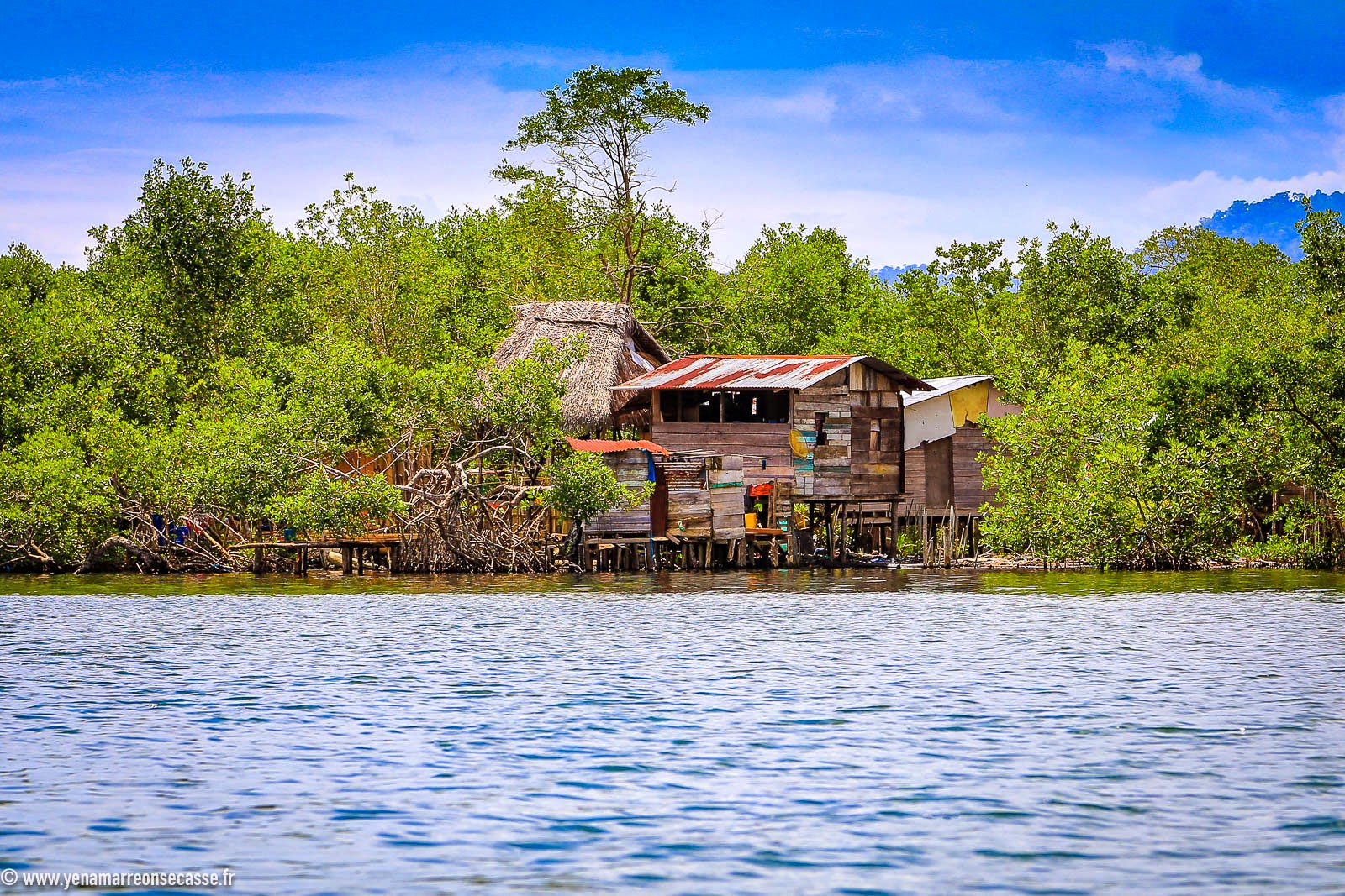 Maison sur pilotis au bord de la mangrove