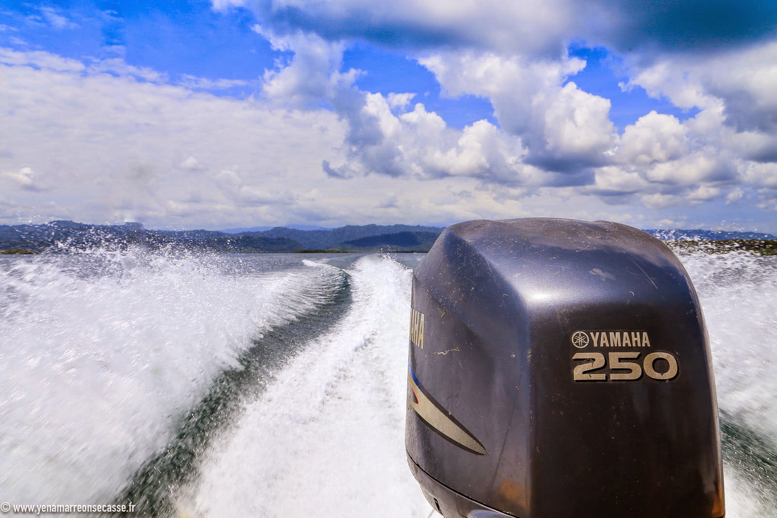 Sillage du water taxi vers Bocas Town