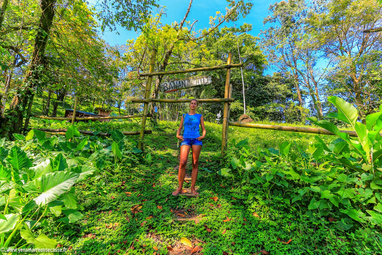 Sur le sentier dans la jungle de Bastimentos