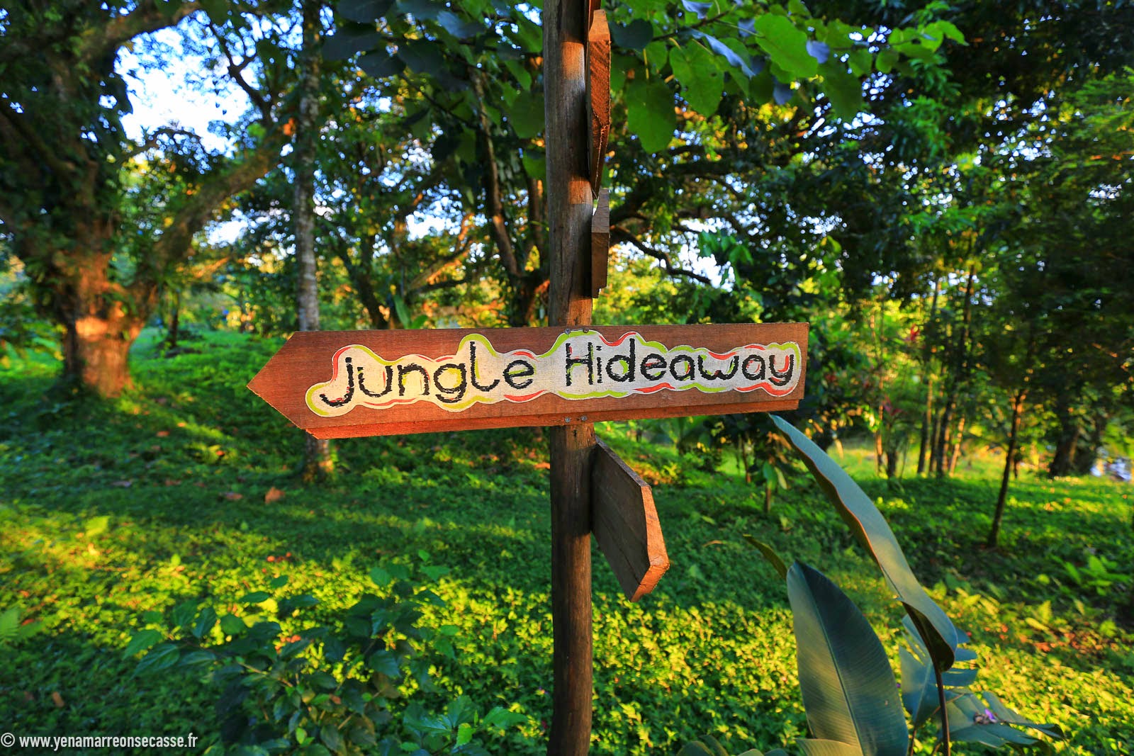 Panneau Jungle Hideaway sur Isla Solarte