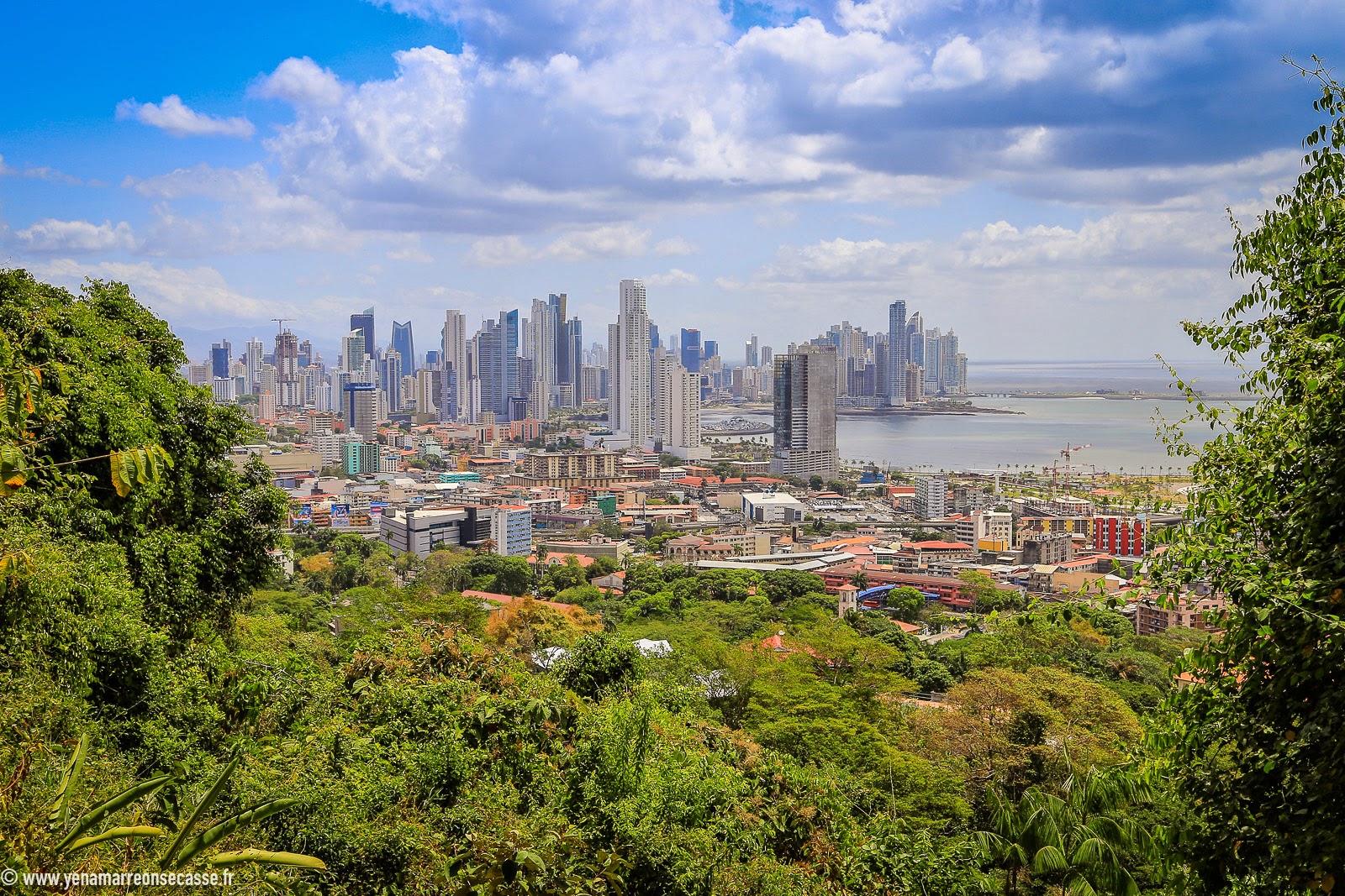 Vue sur Panama City depuis le Parque Natural Metropolitano