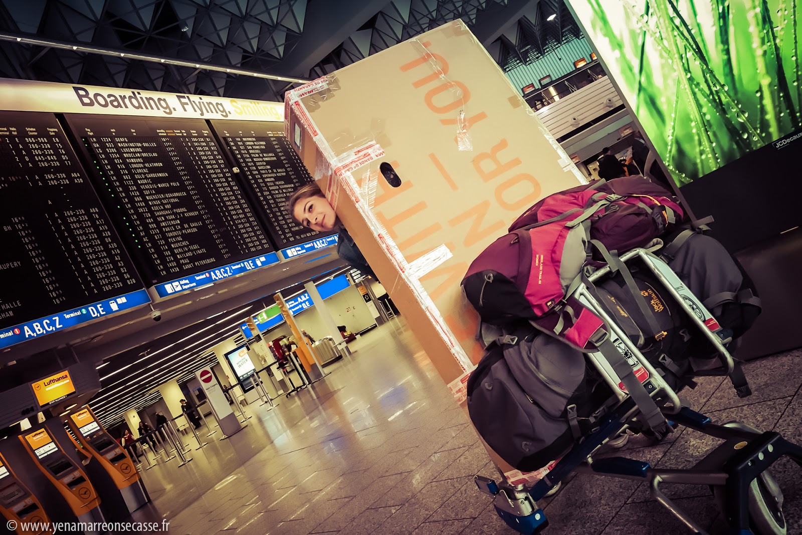Carton de vélo et sacs à dos sur un chariot dans le hall d’un aéroport