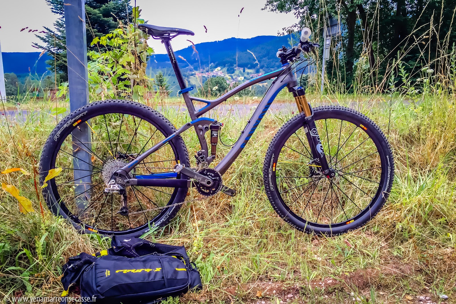VTT Canyon tout suspendu dans les herbes, prêt pour le voyage
