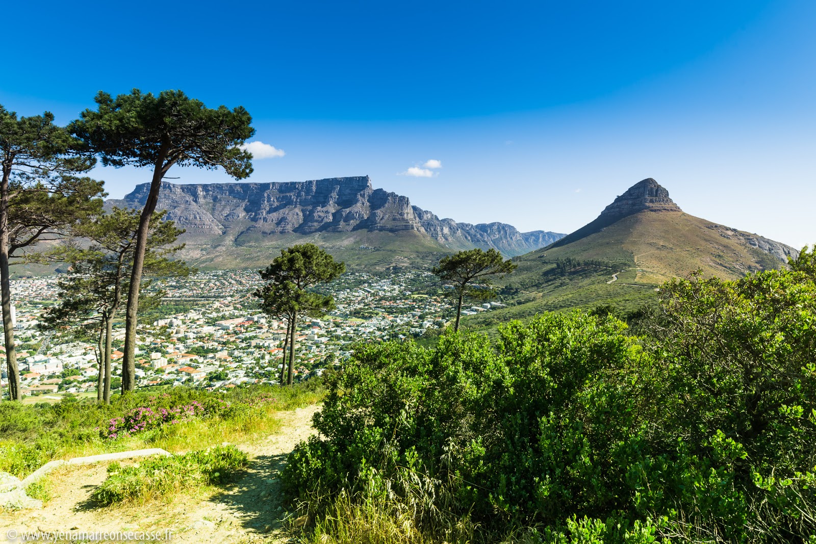 Table Mountain et Lion’s Head