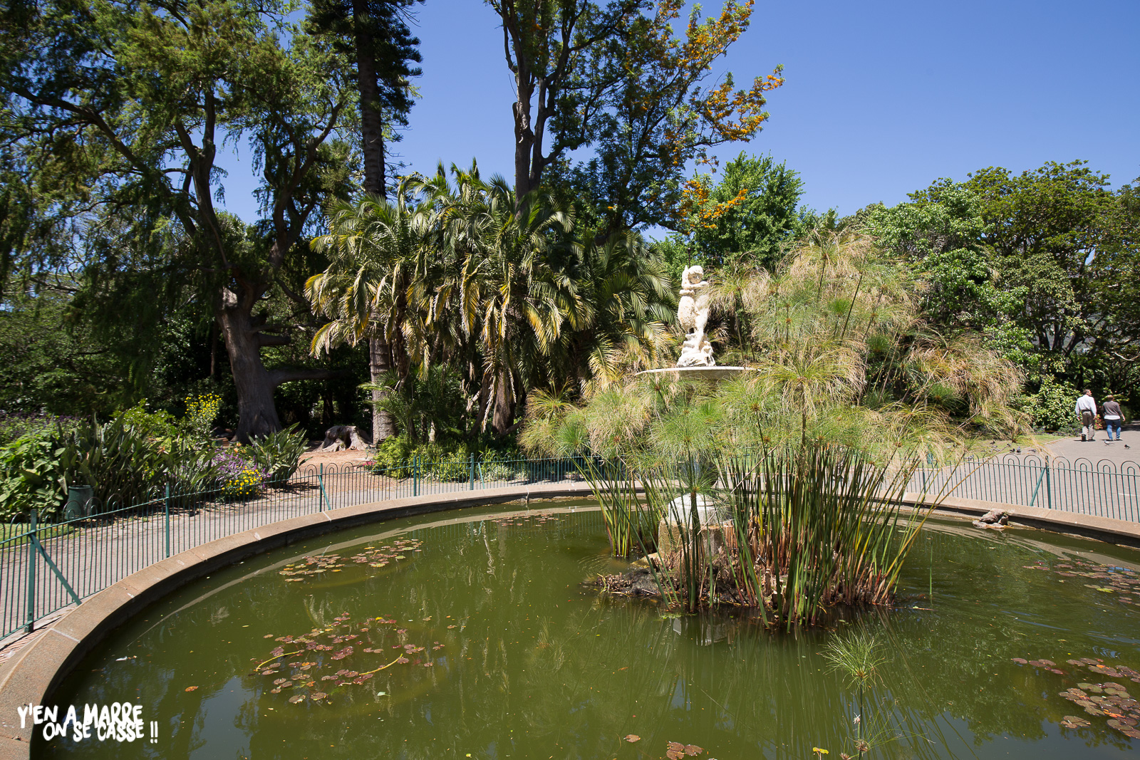 Bassin du Company’s Garden