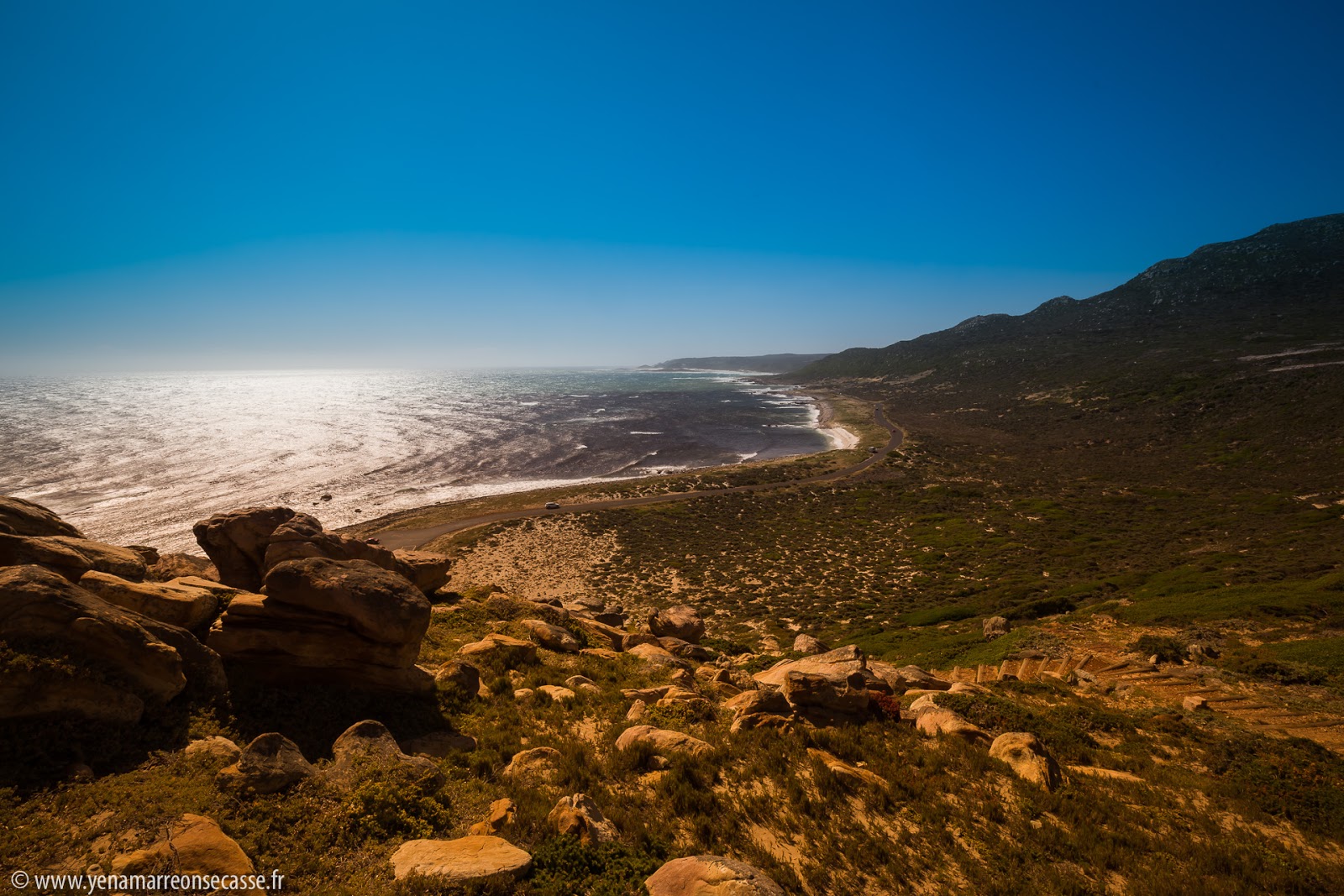 Fynbos et rochers de la péninsule du Cap